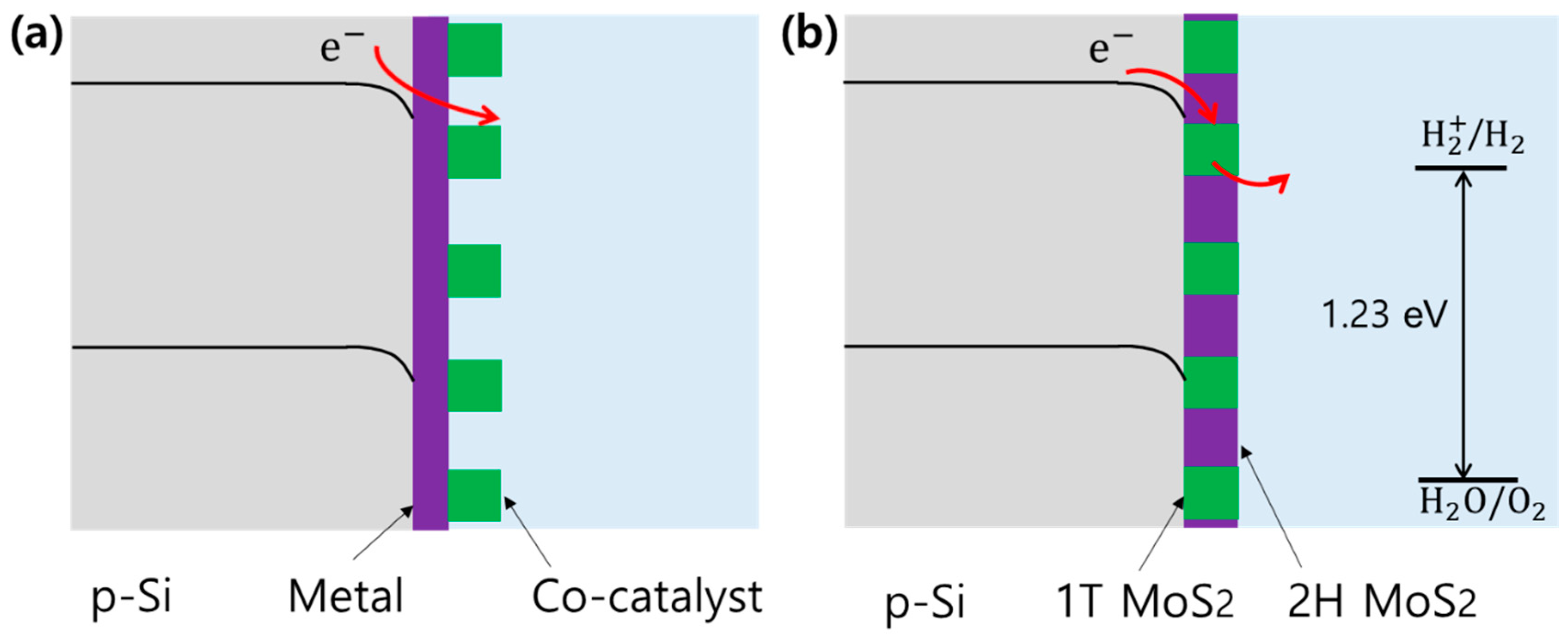 Catalysts 08 00580 g001