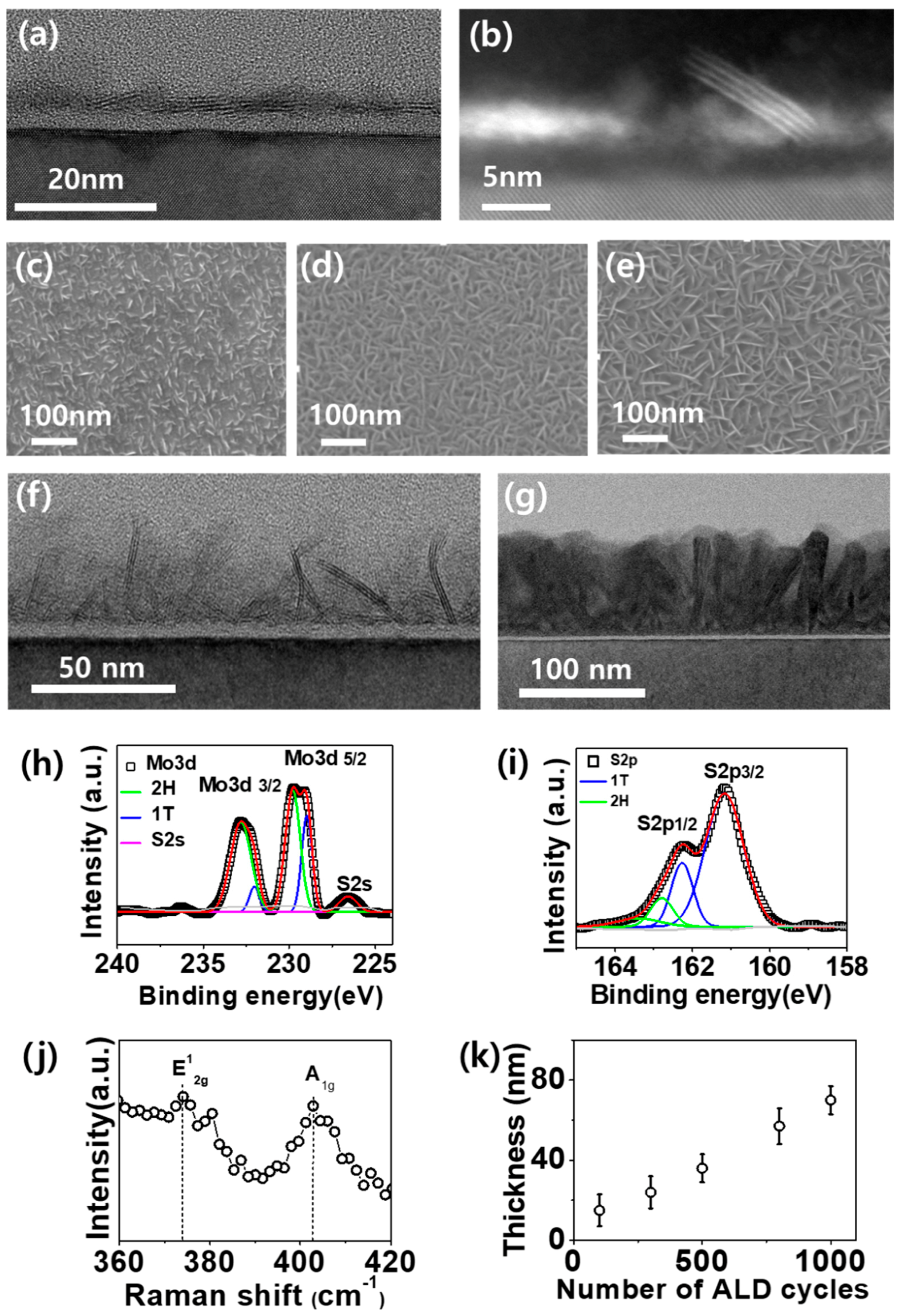 Catalysts 08 00580 g002