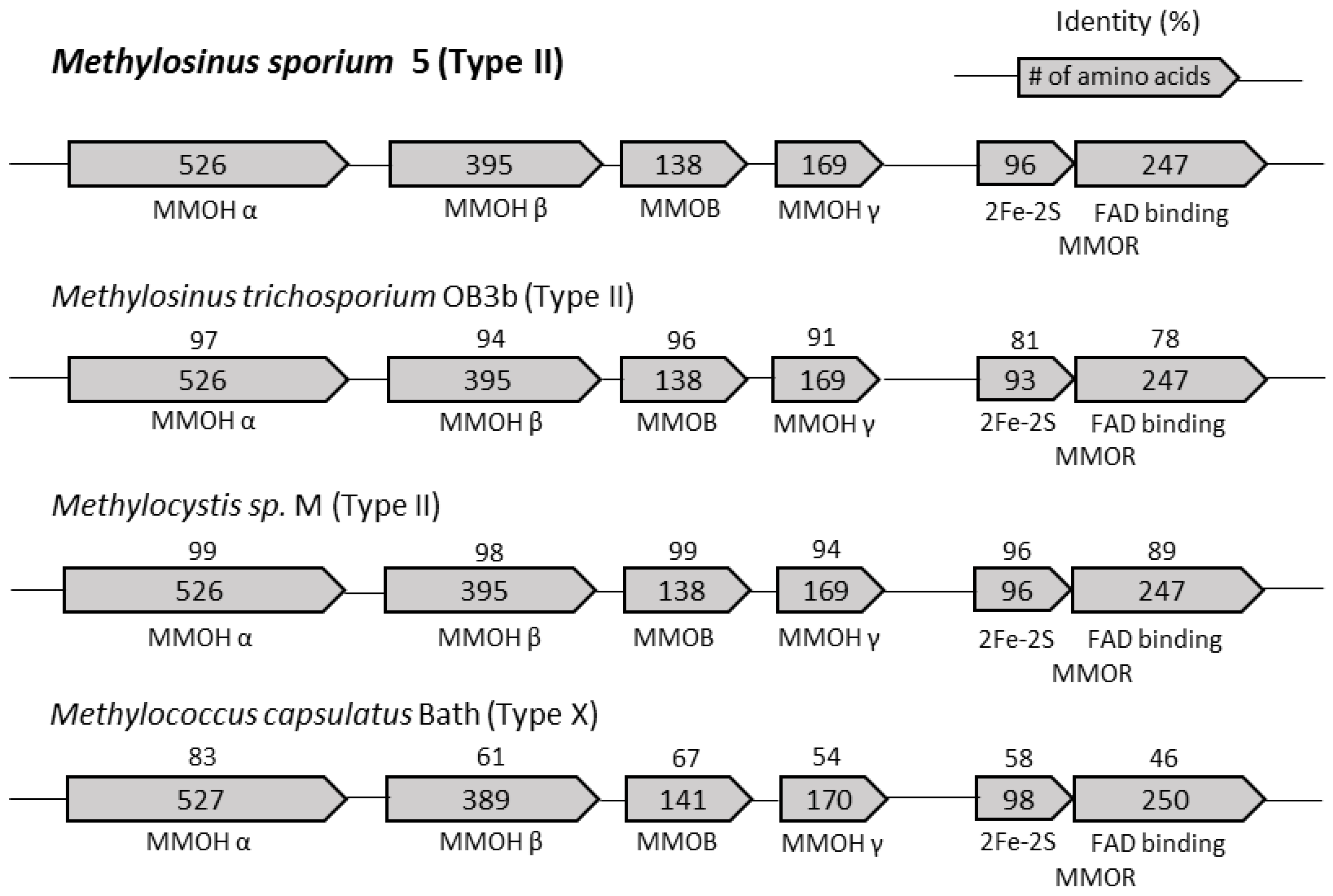 Catalysts 08 00582 g001 Catalysts 08 00582 g001