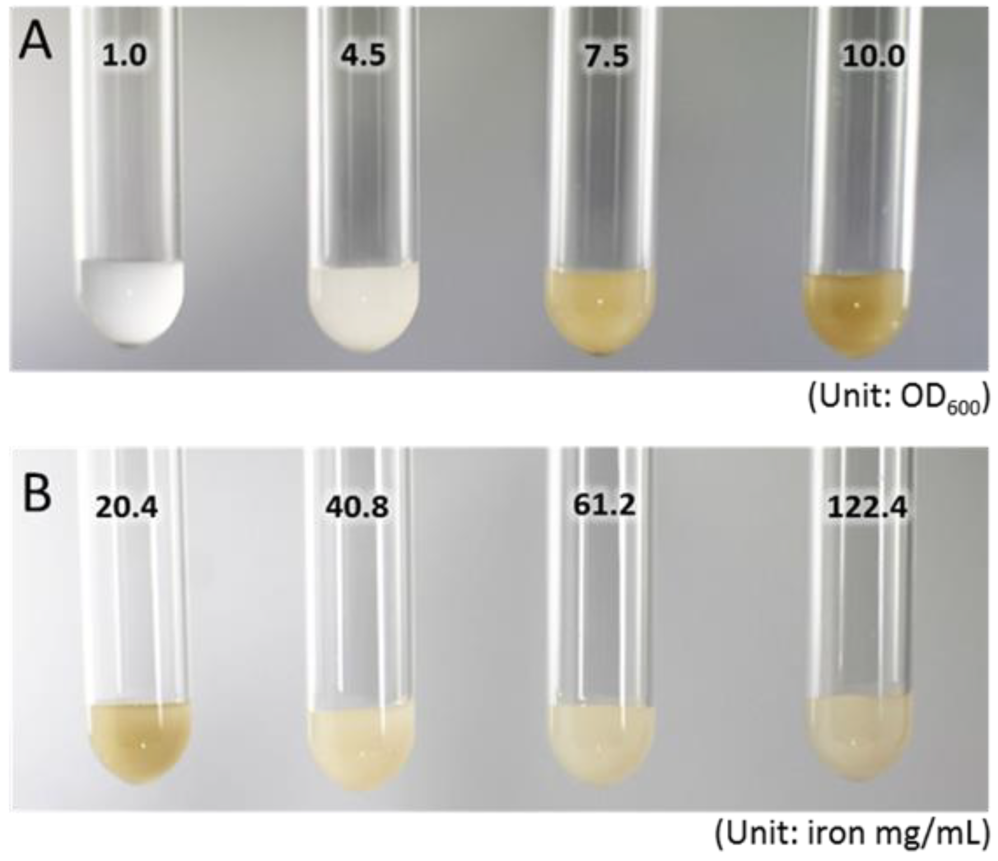 Catalysts 08 00582 g002 Catalysts 08 00582 g002