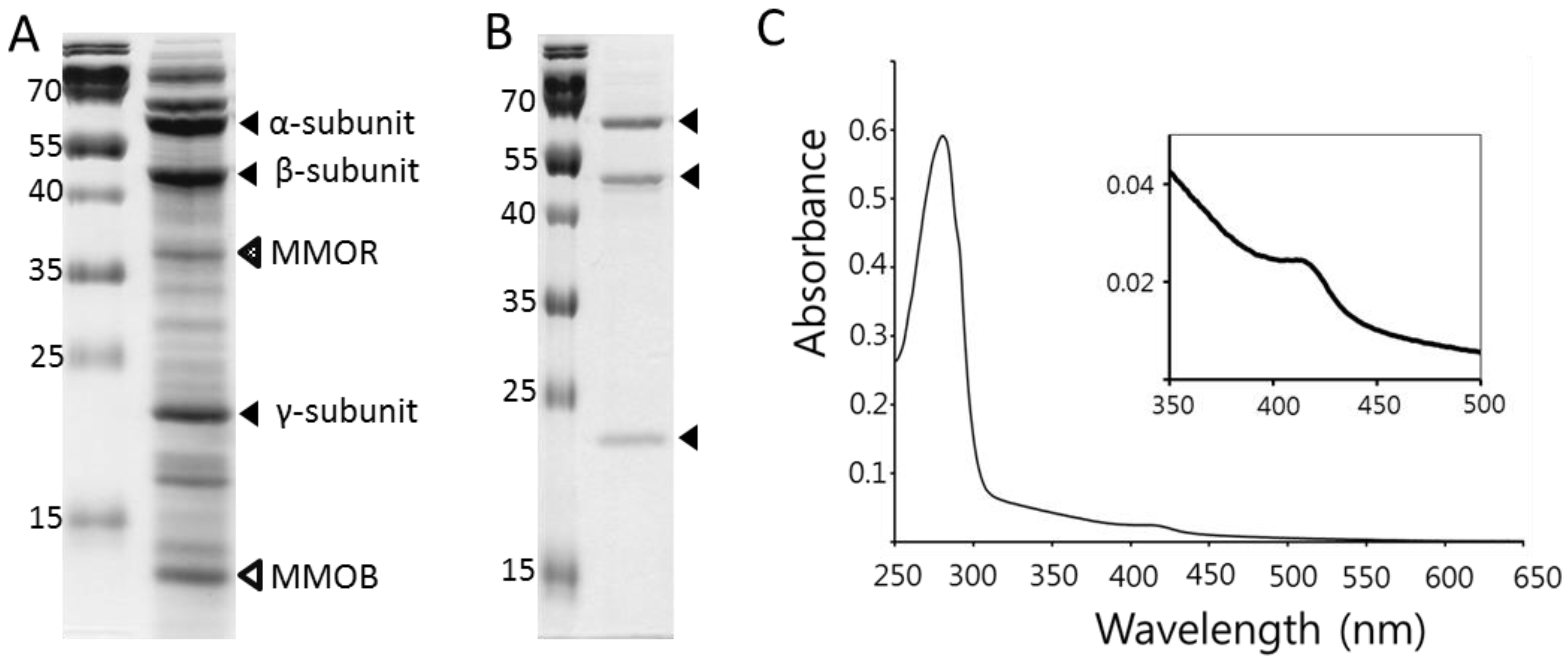 Catalysts 08 00582 g003 Catalysts 08 00582 g003