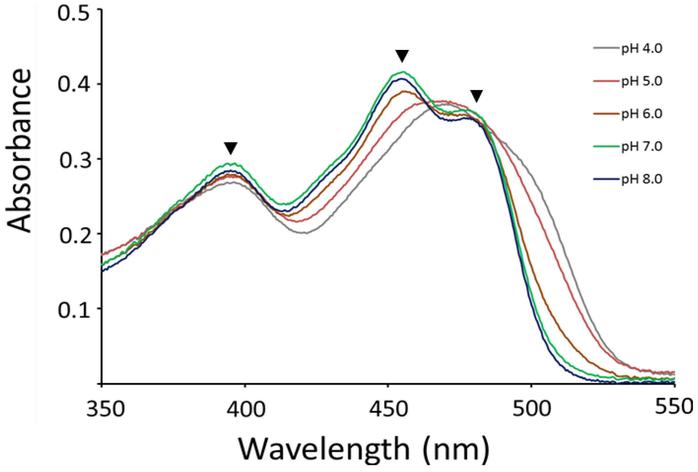 Catalysts 08 00582 g006 Catalysts 08 00582 g006