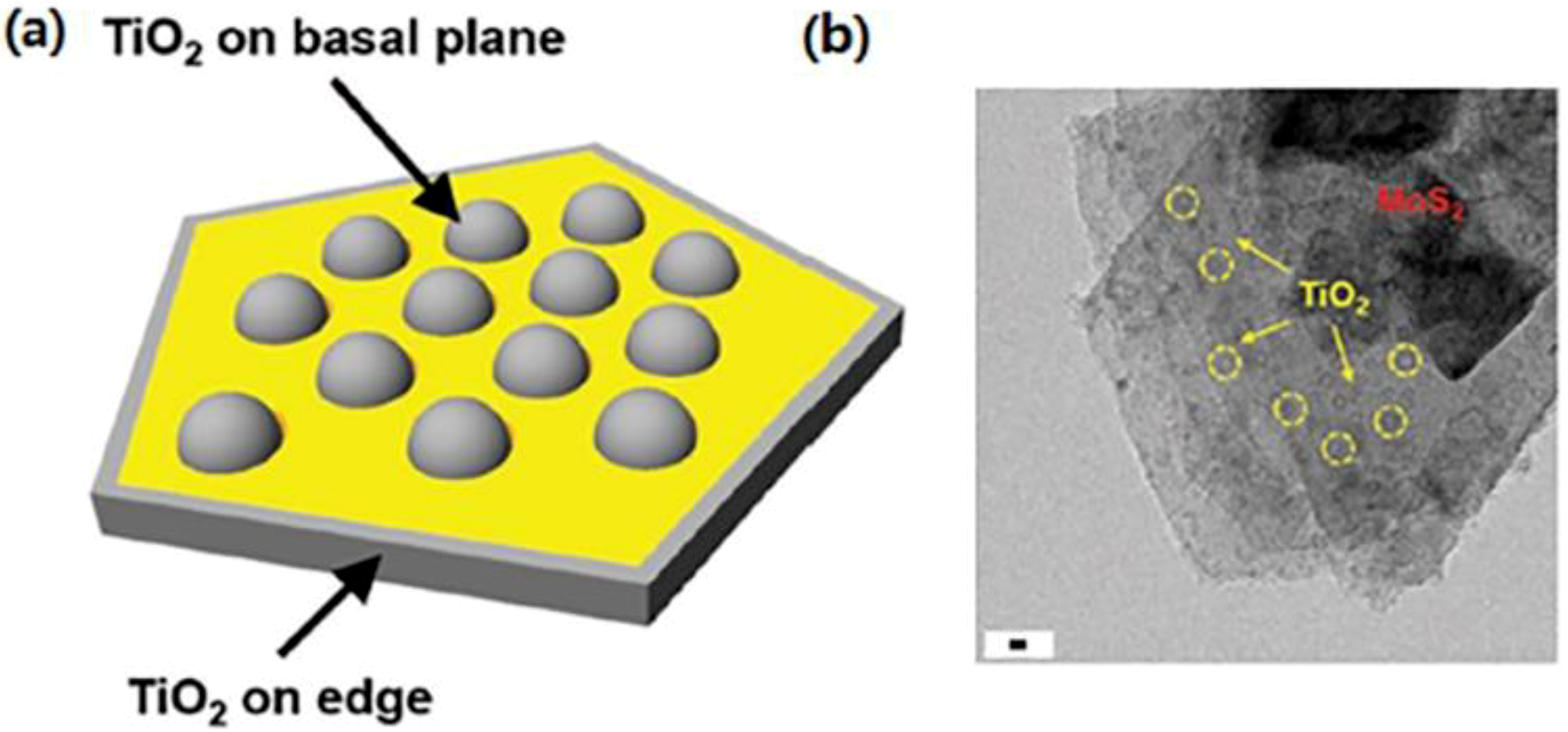 Catalysts 08 00590 g017 Catalysts 08 00590 g017
