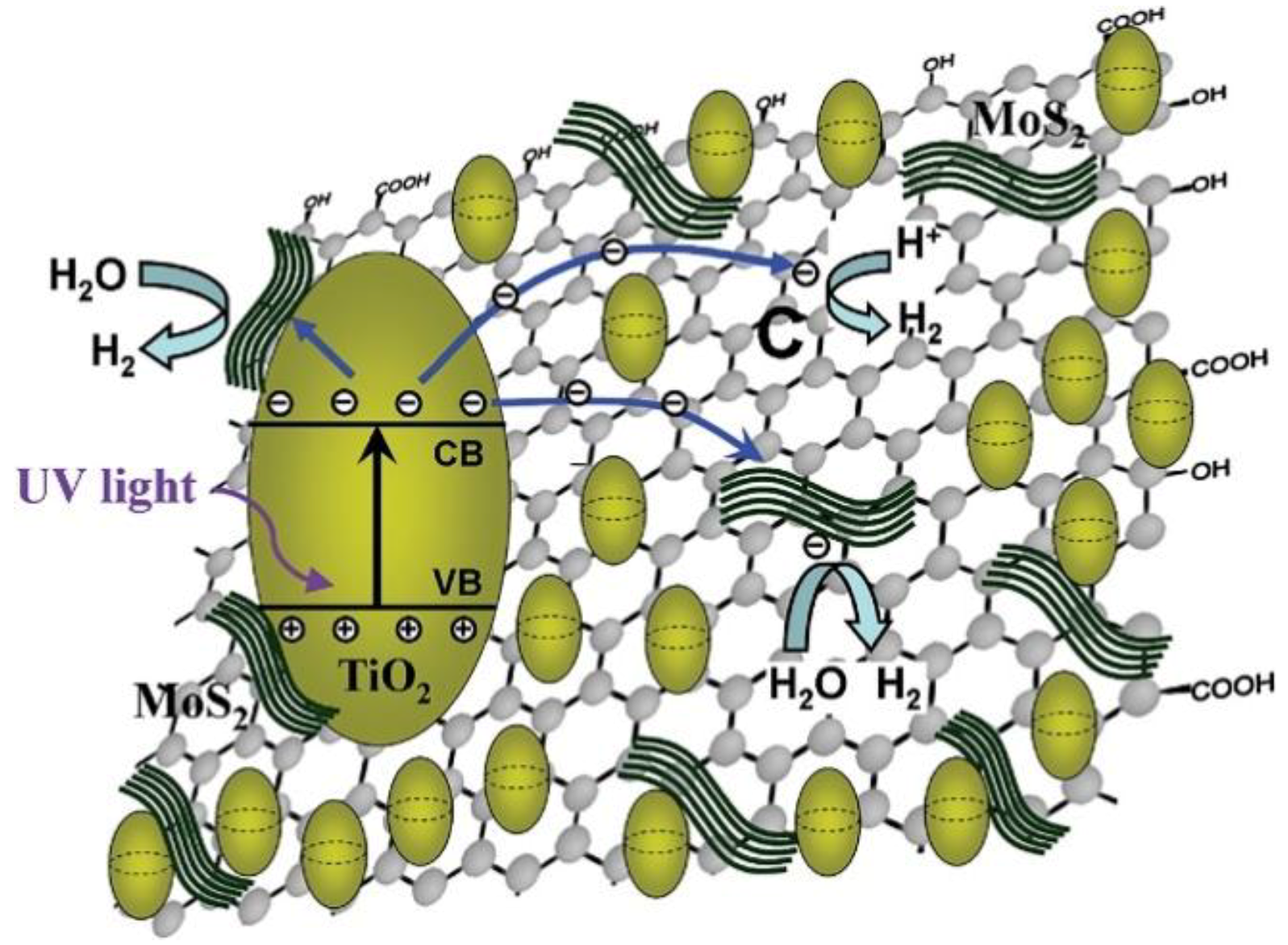 Catalysts 08 00590 g020 Catalysts 08 00590 g020