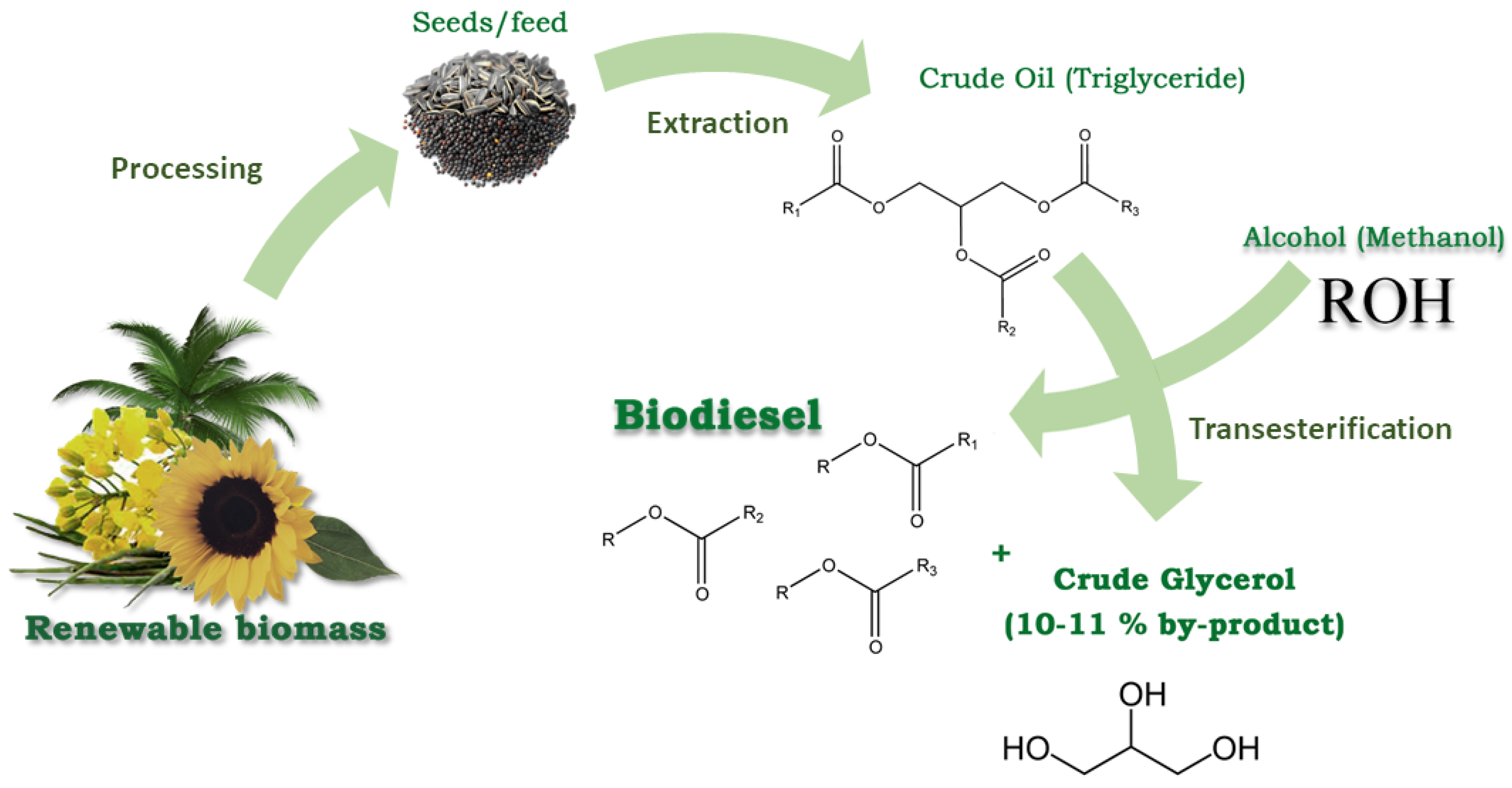 Catalysts 08 00595 g002