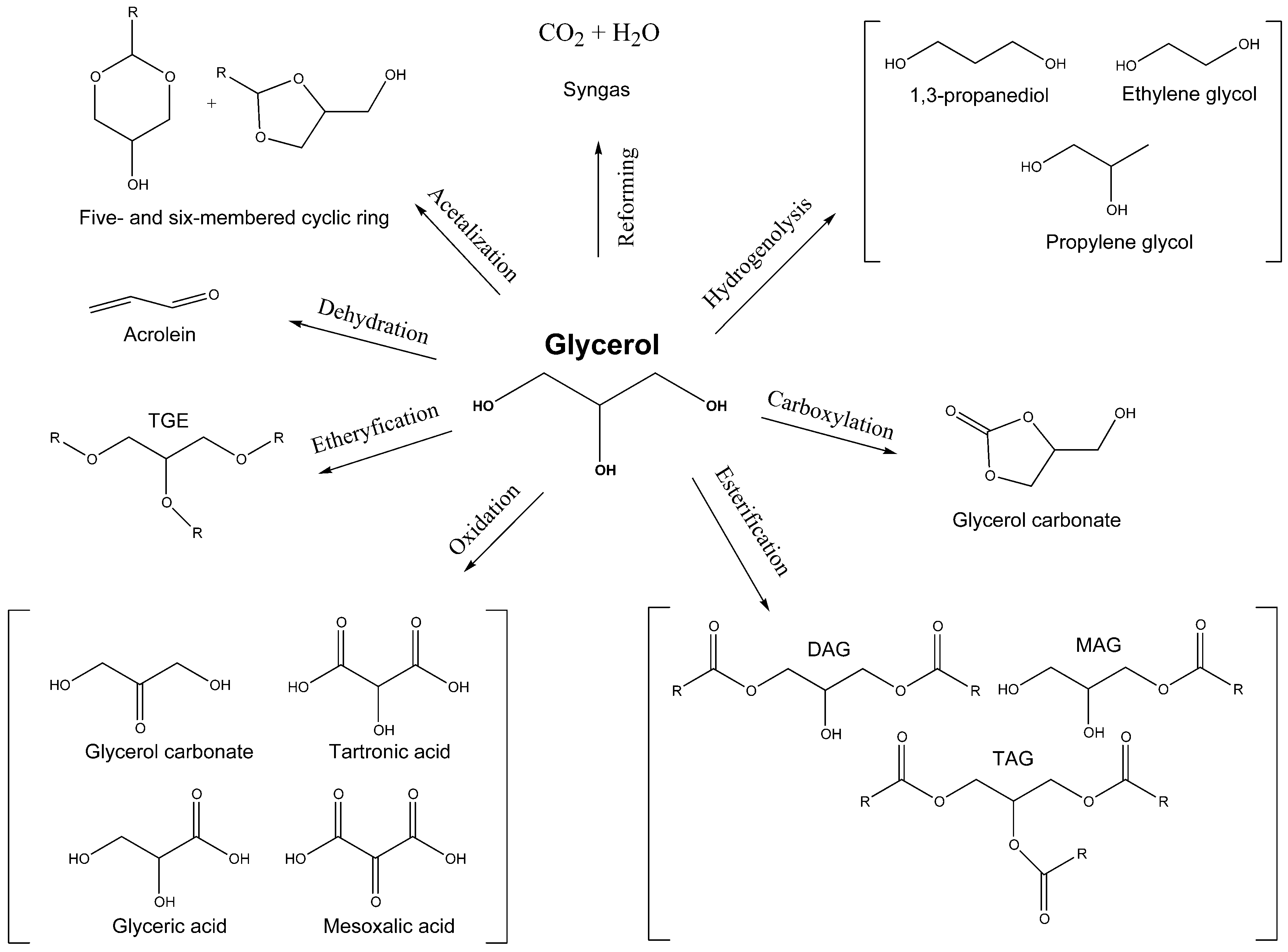 Catalysts 08 00595 sch001