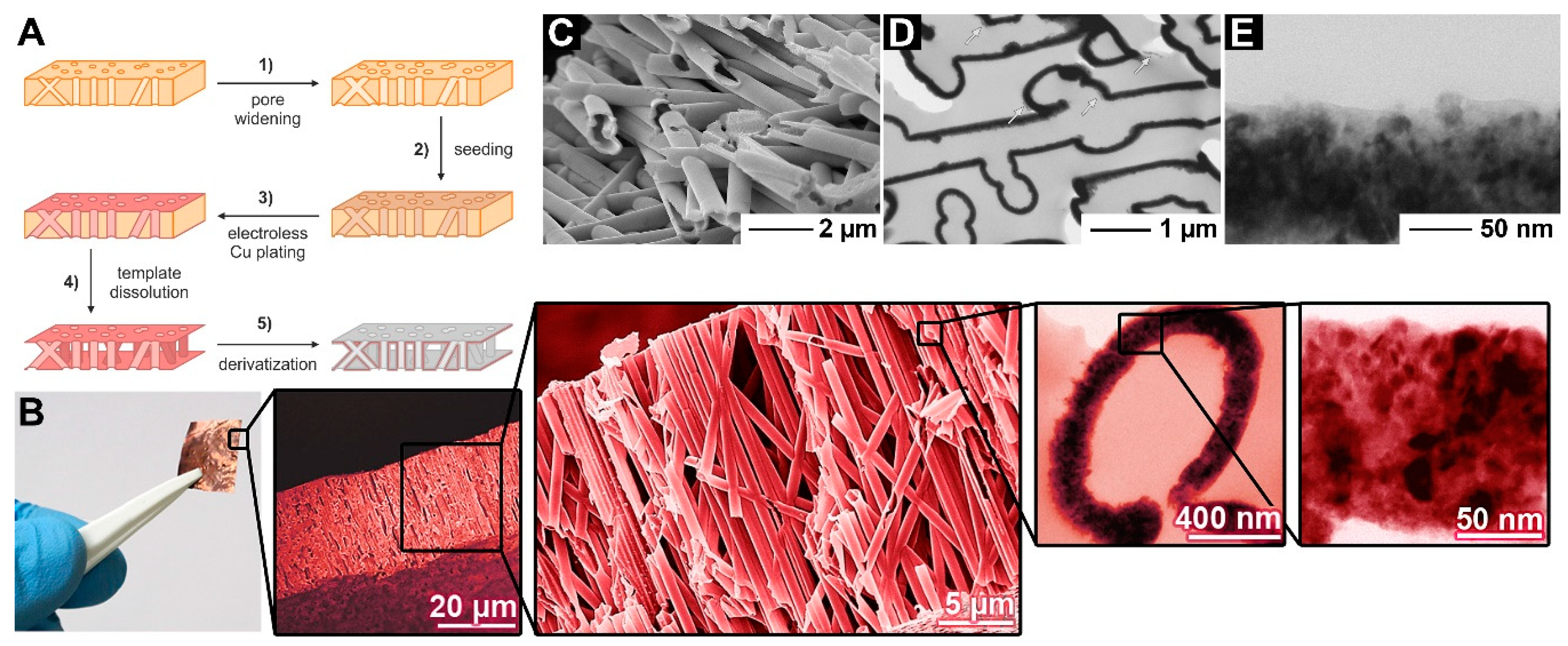 Catalysts 08 00597 g010 Catalysts 08 00597 g010