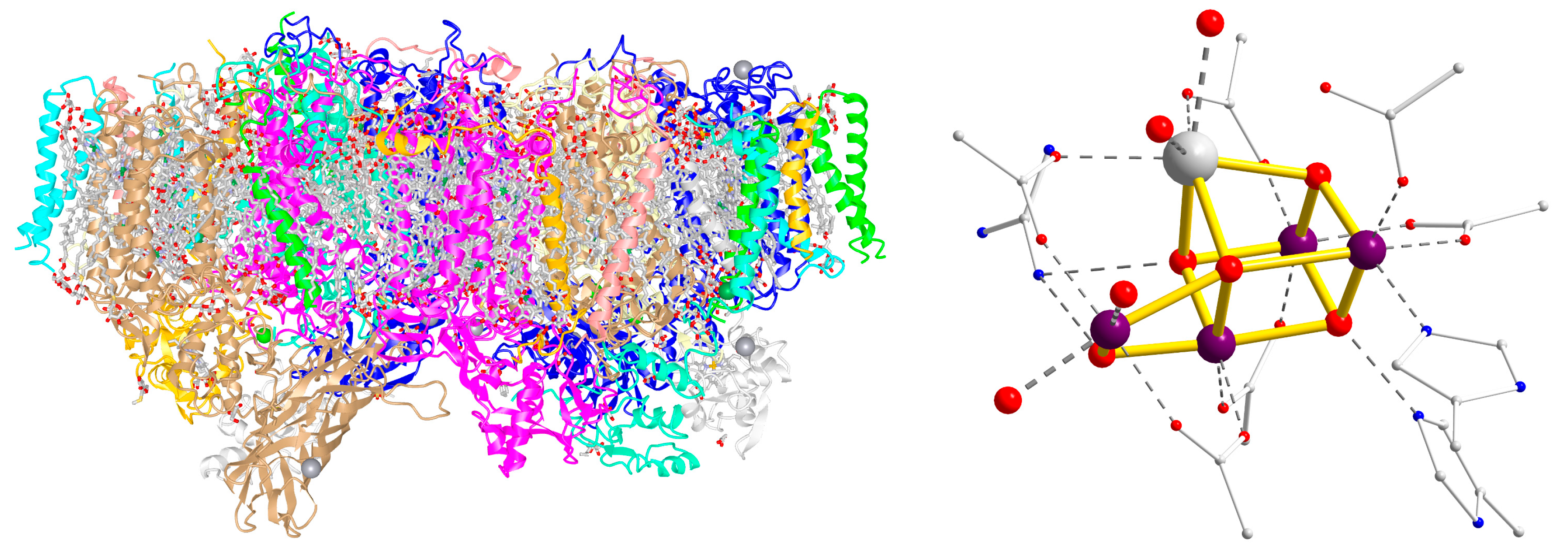 Catalysts 08 00602 g001