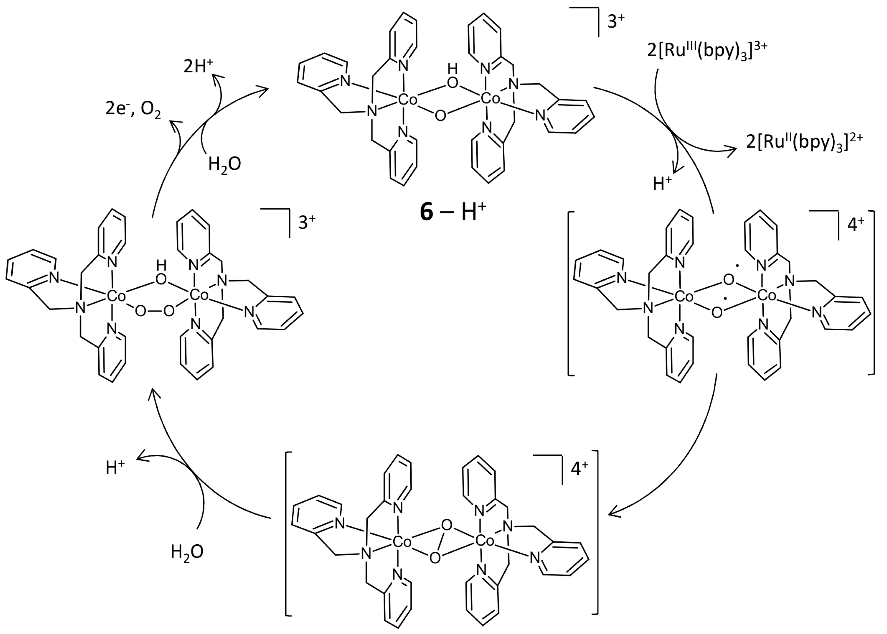 Catalysts 08 00602 sch003