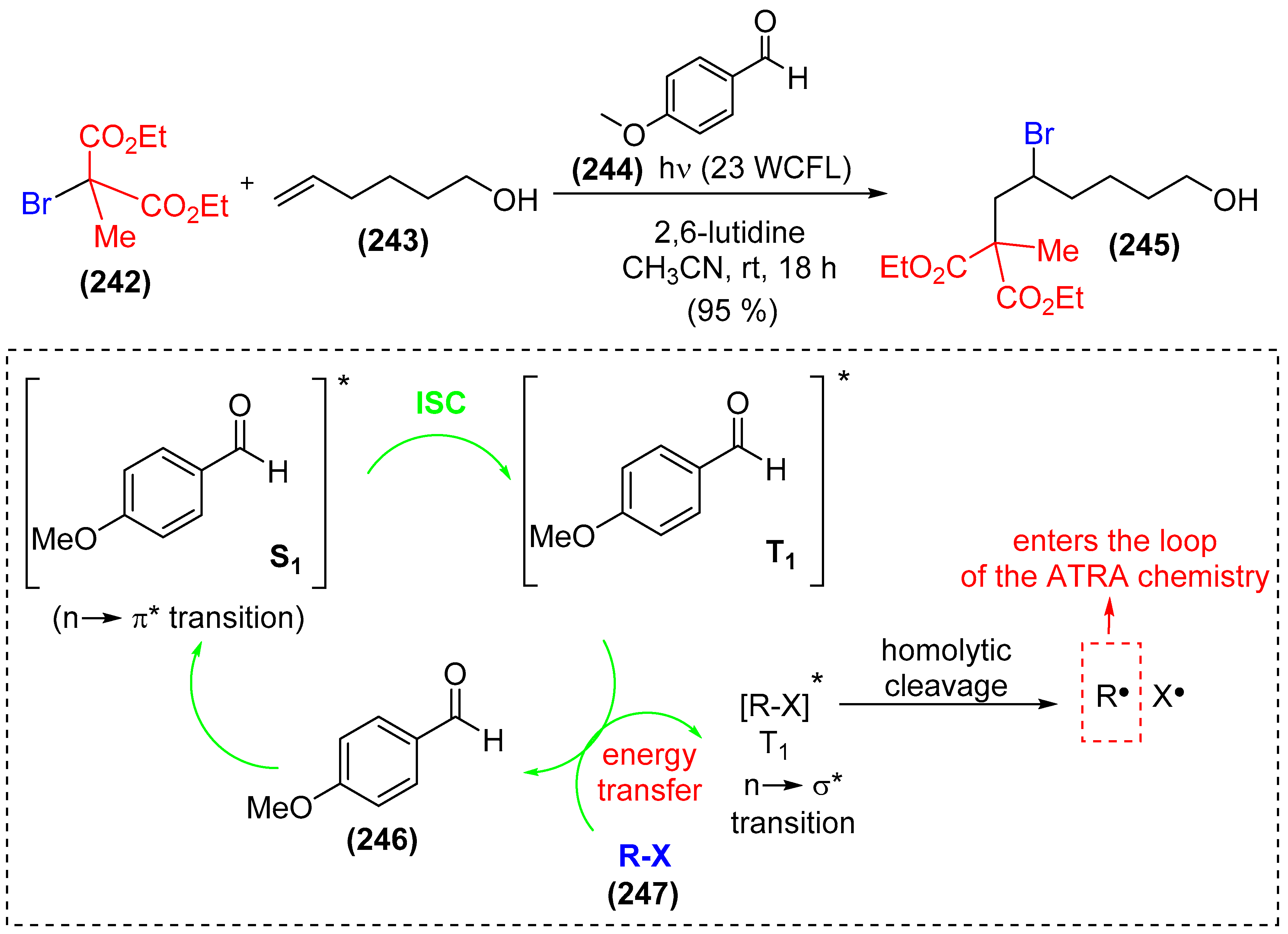 Catalysts 08 00605 sch042 Catalysts 08 00605 sch042