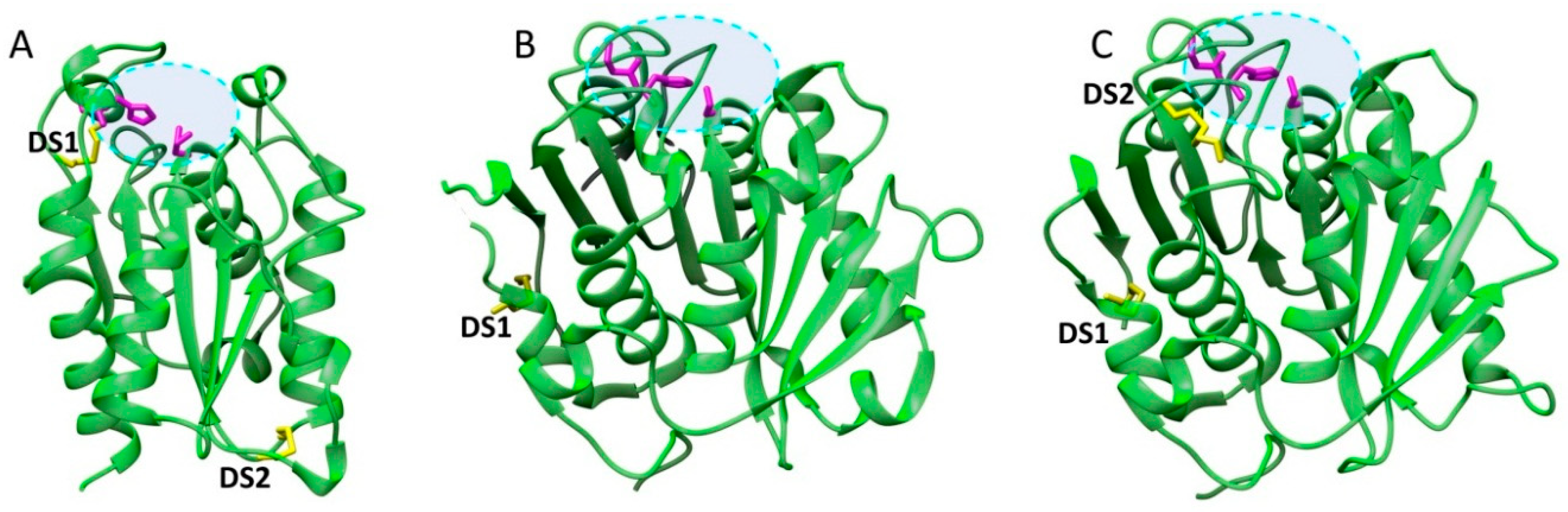 Catalysts 08 00612 g002 Catalysts 08 00612 g002