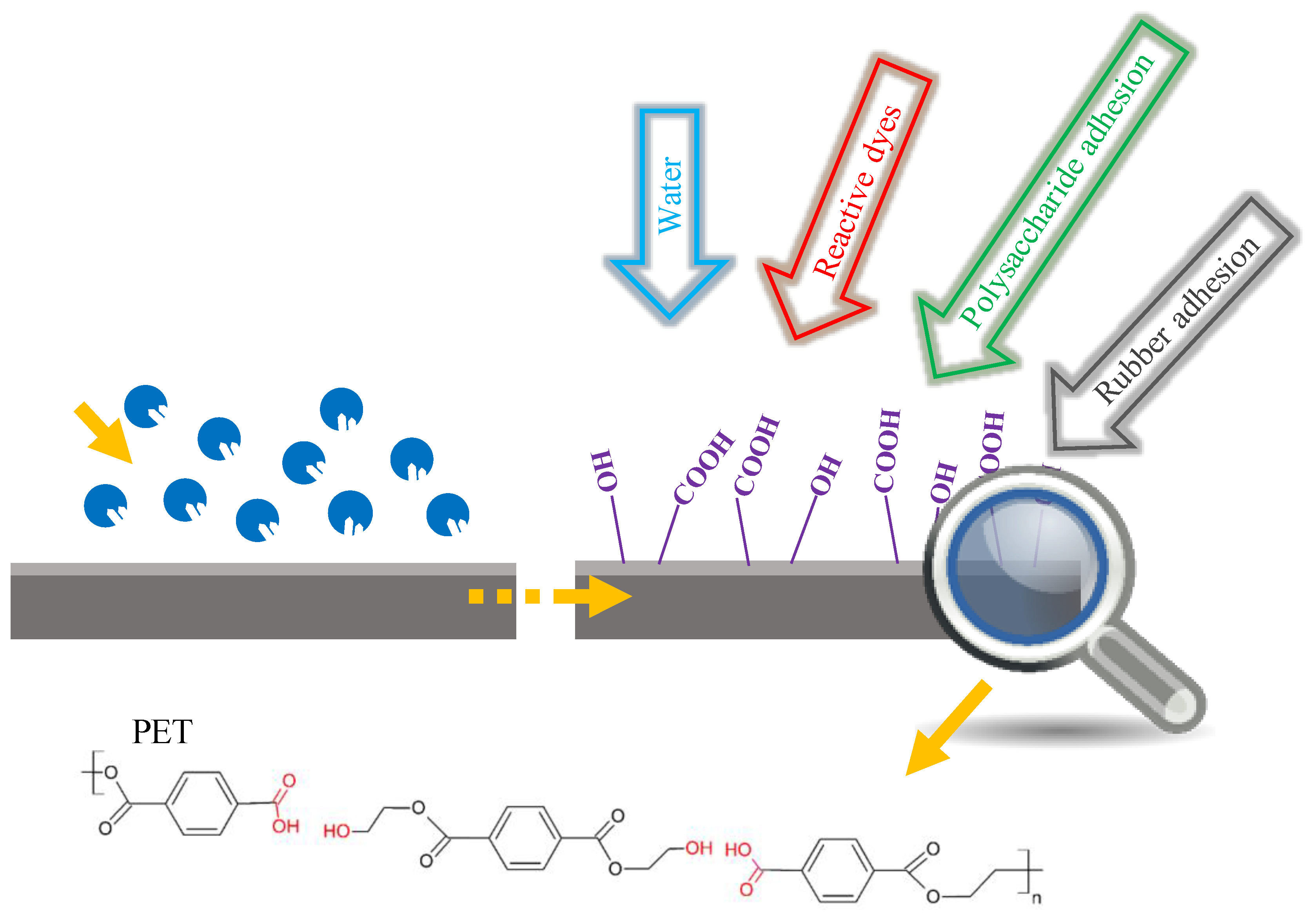 Catalysts 08 00612 g003 Catalysts 08 00612 g003