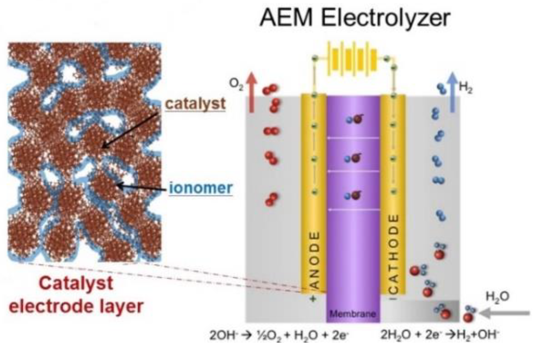 Catalysts 08 00614 g001