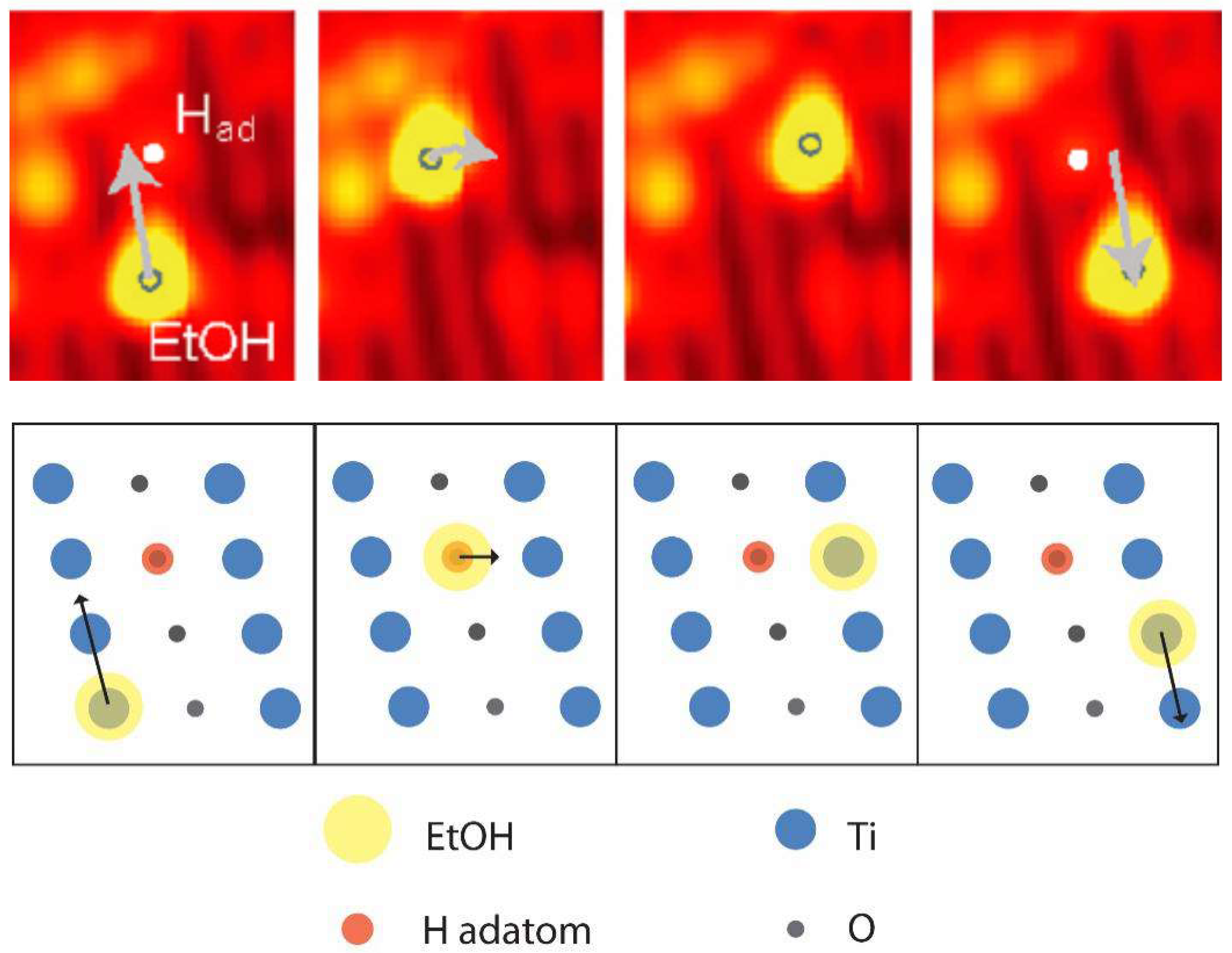 Catalysts 08 00616 g003
