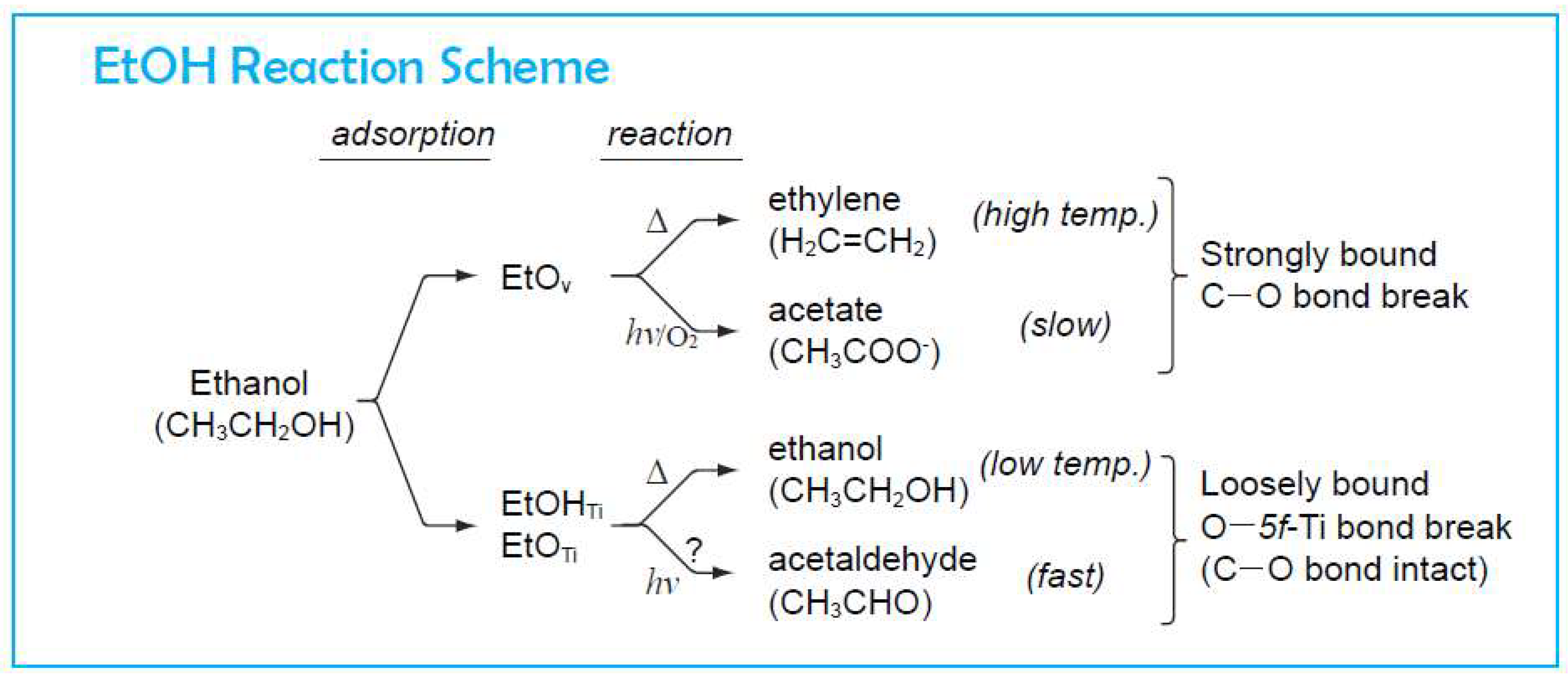 Catalysts 08 00616 sch001