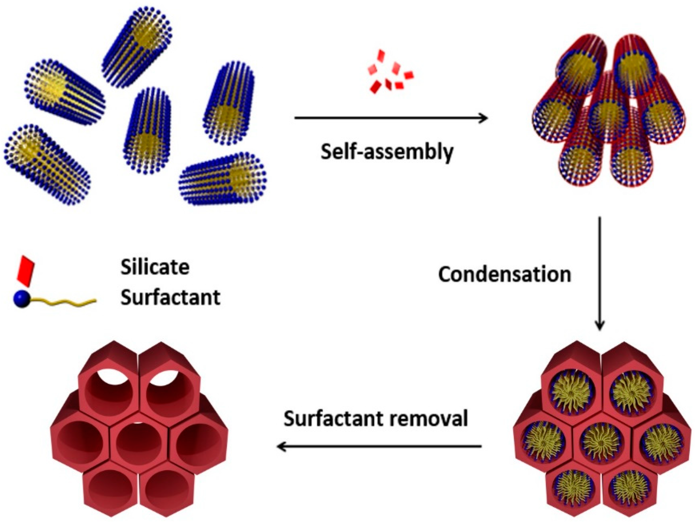 Catalysts 08 00617 g001