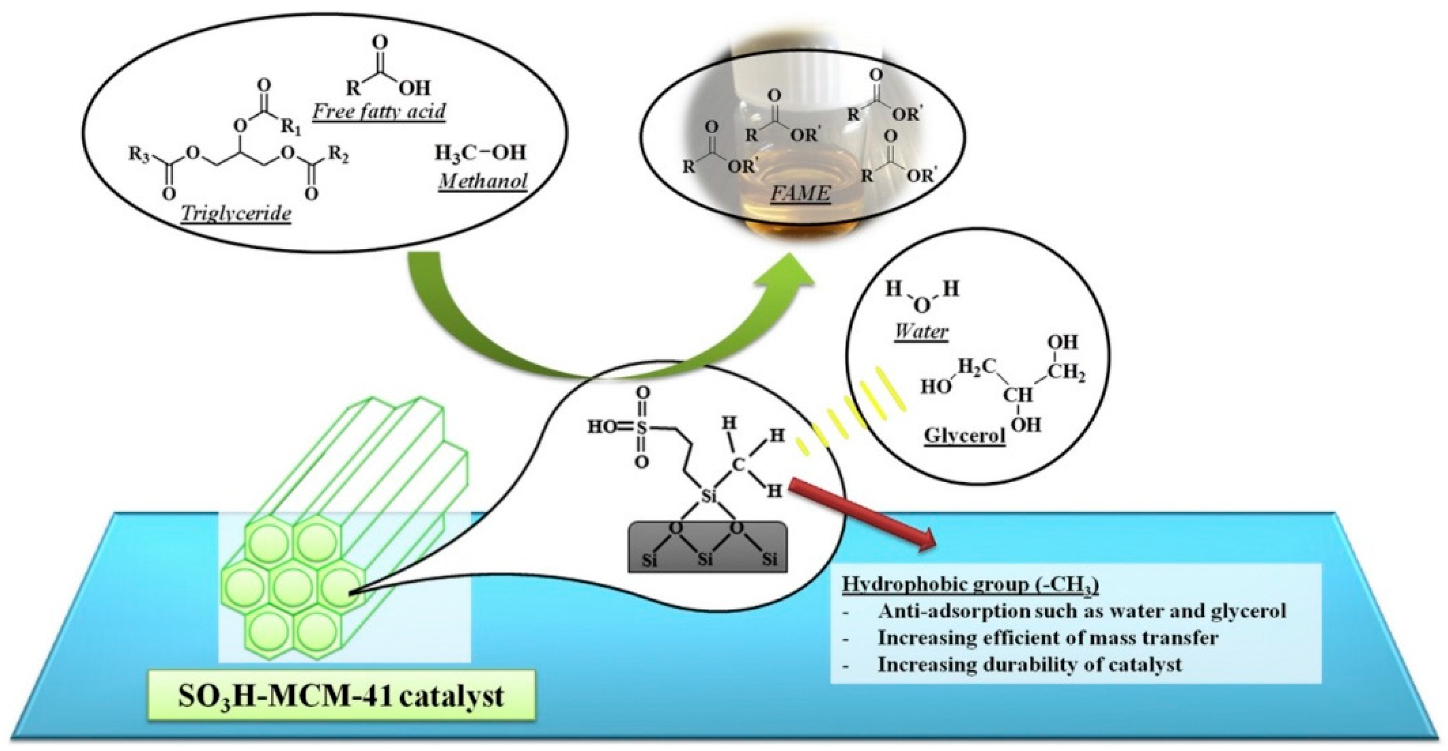 Catalysts 08 00617 g012