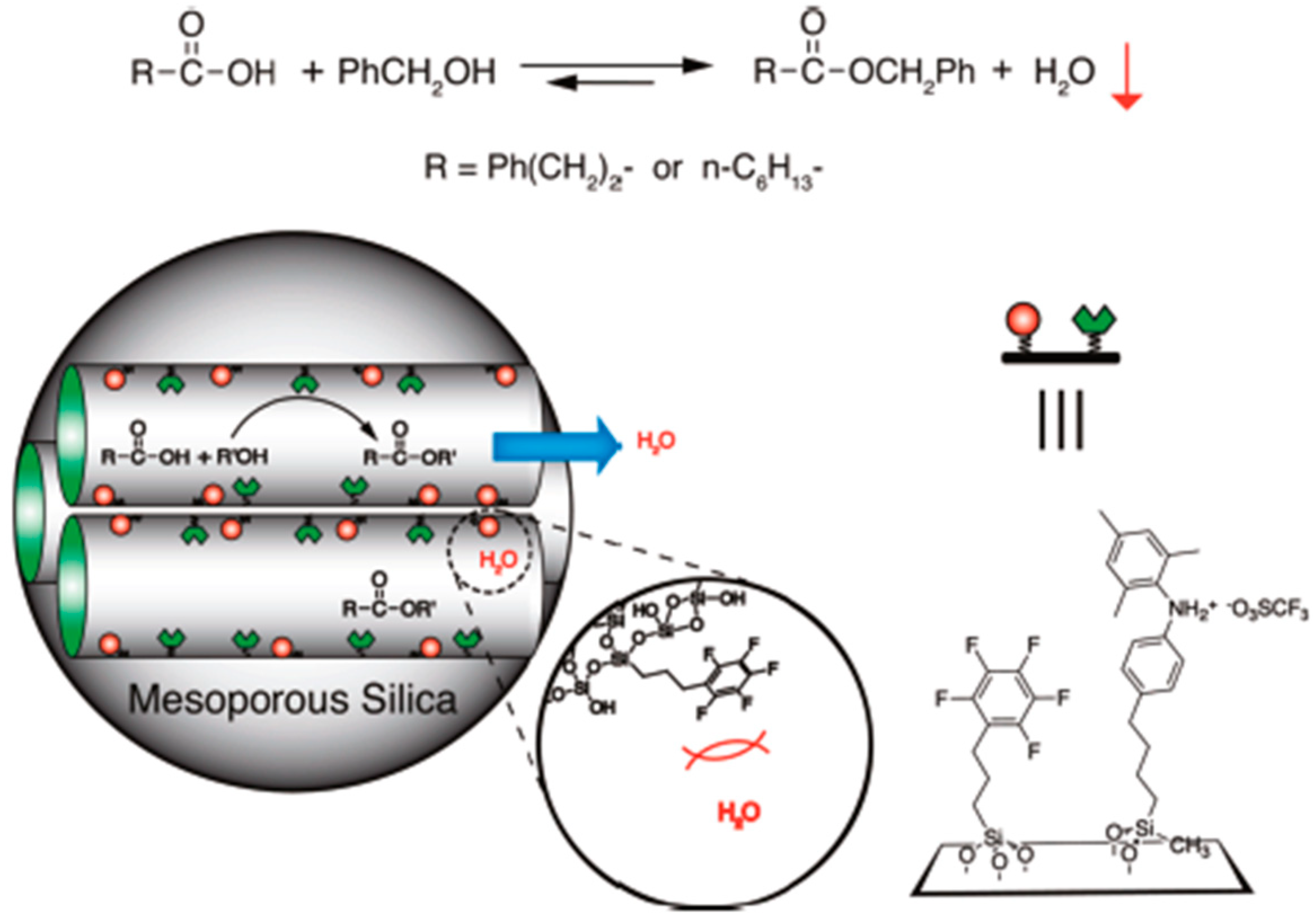 Catalysts 08 00617 g021