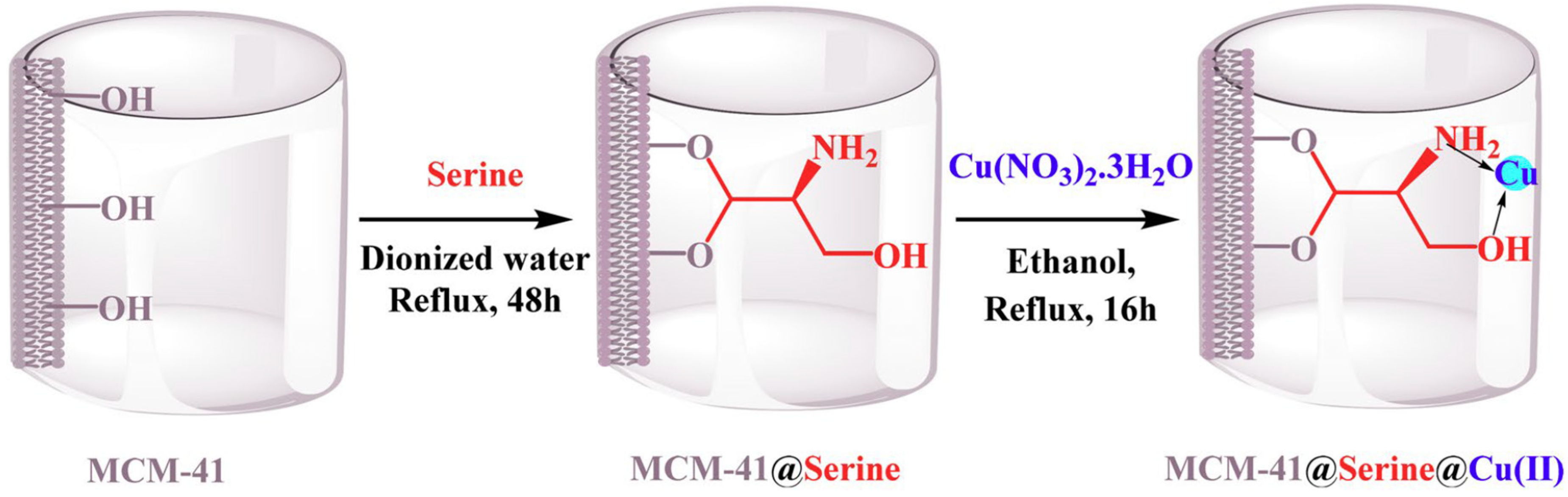 Catalysts 08 00617 g023