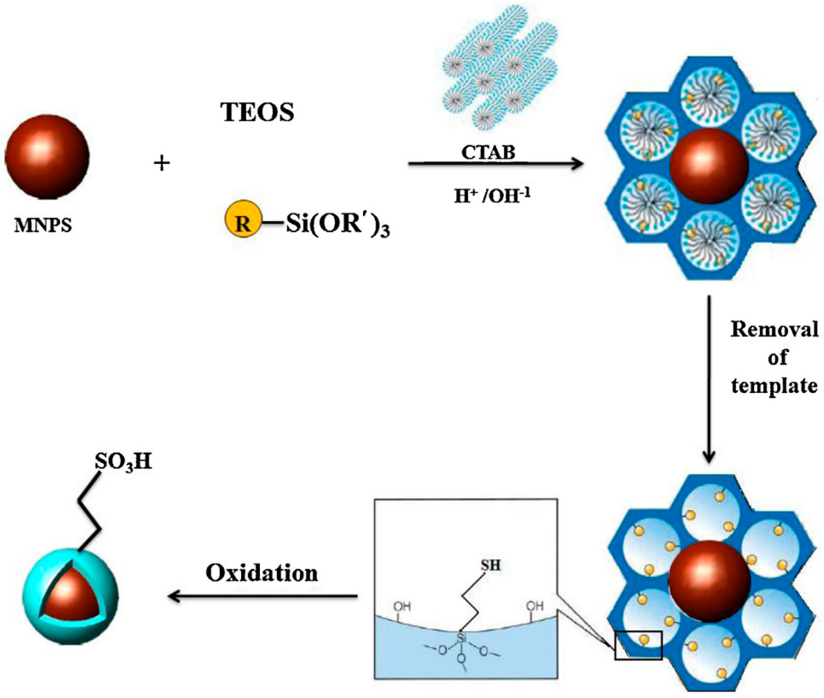 Catalysts 08 00617 g058