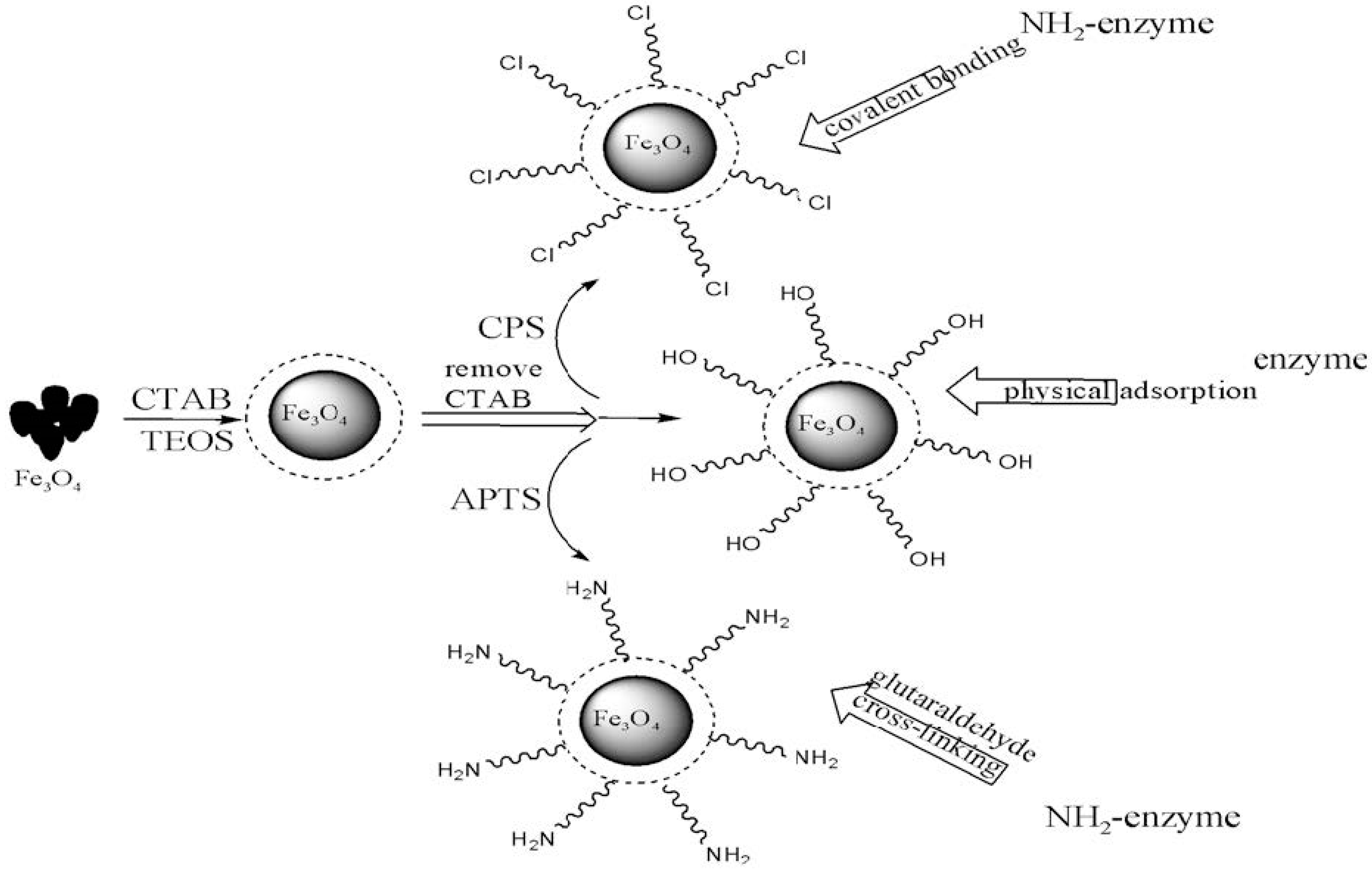 Catalysts 08 00617 g066