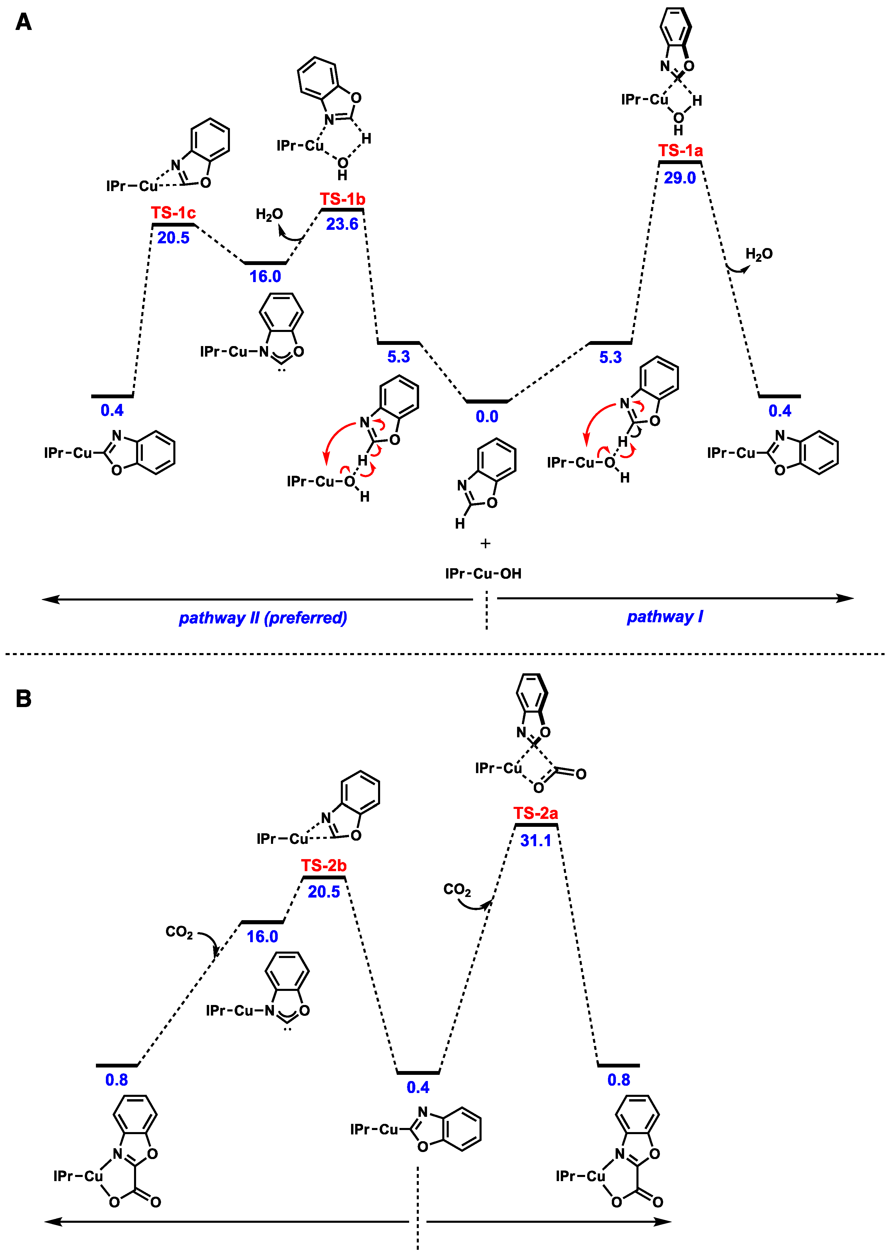 Catalysts 08 00620 g005