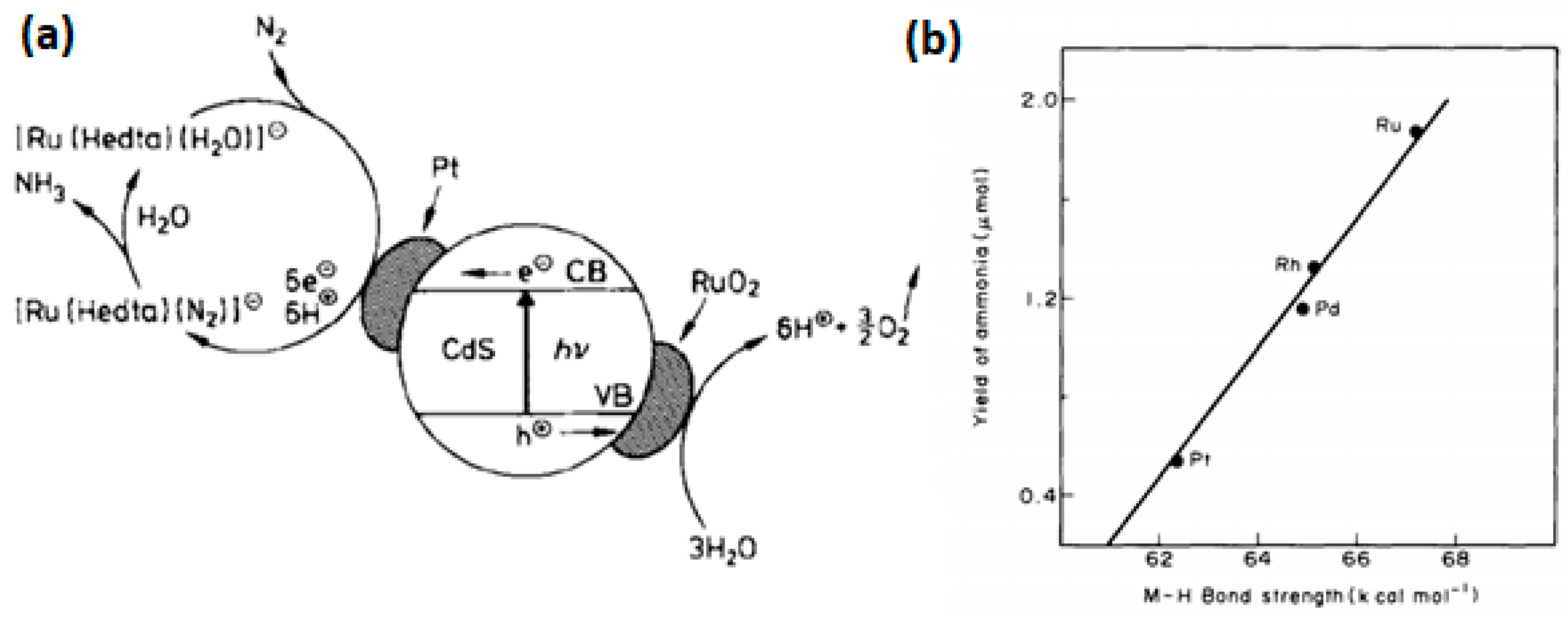 Catalysts Free Full Text Insights Into The Recent Progress And Advanced Materials For Photocatalytic Nitrogen Fixation For Ammonia Nh3 Production Html
