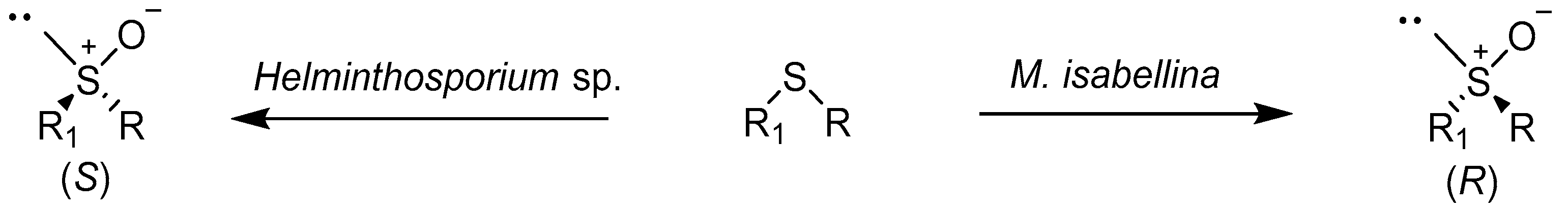 Catalysts 08 00624 sch001 Catalysts 08 00624 sch001