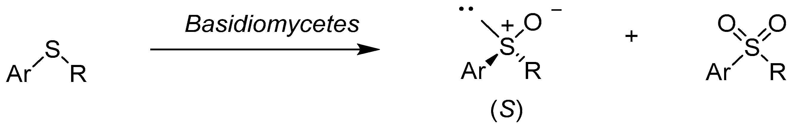 Catalysts 08 00624 sch002 Catalysts 08 00624 sch002