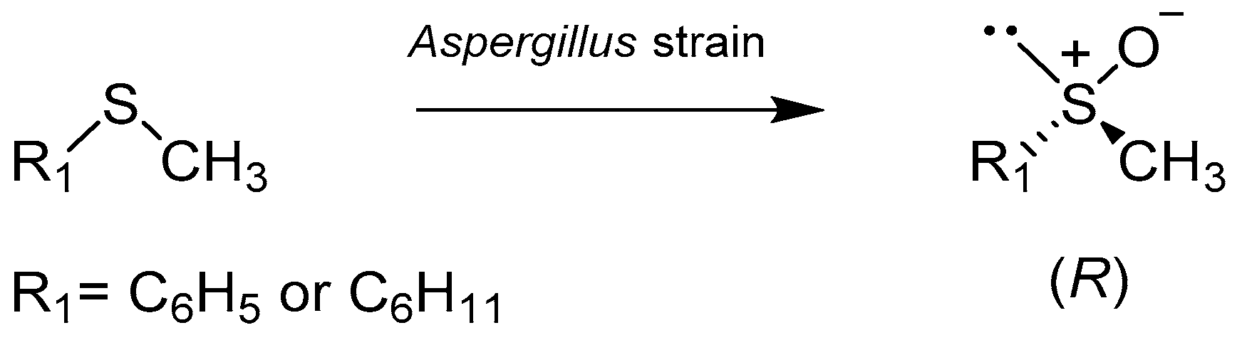 Catalysts 08 00624 sch003 Catalysts 08 00624 sch003