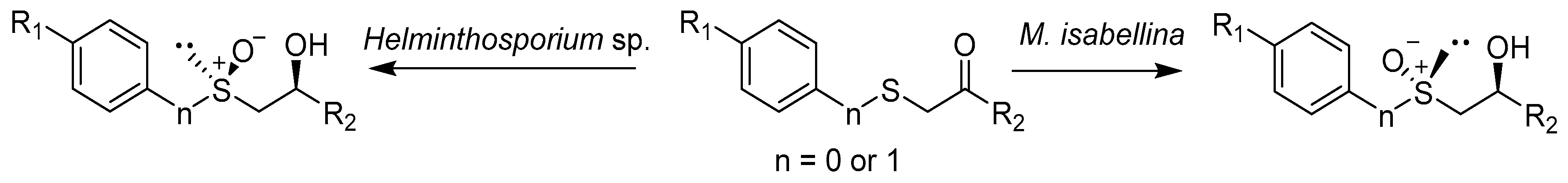 Catalysts 08 00624 sch004 Catalysts 08 00624 sch004