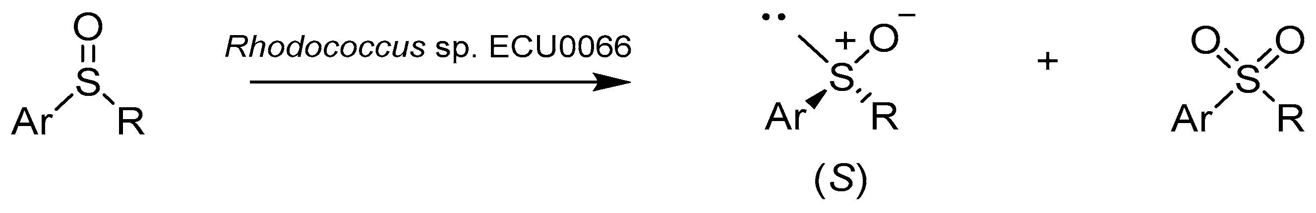 Catalysts 08 00624 sch007 Catalysts 08 00624 sch007