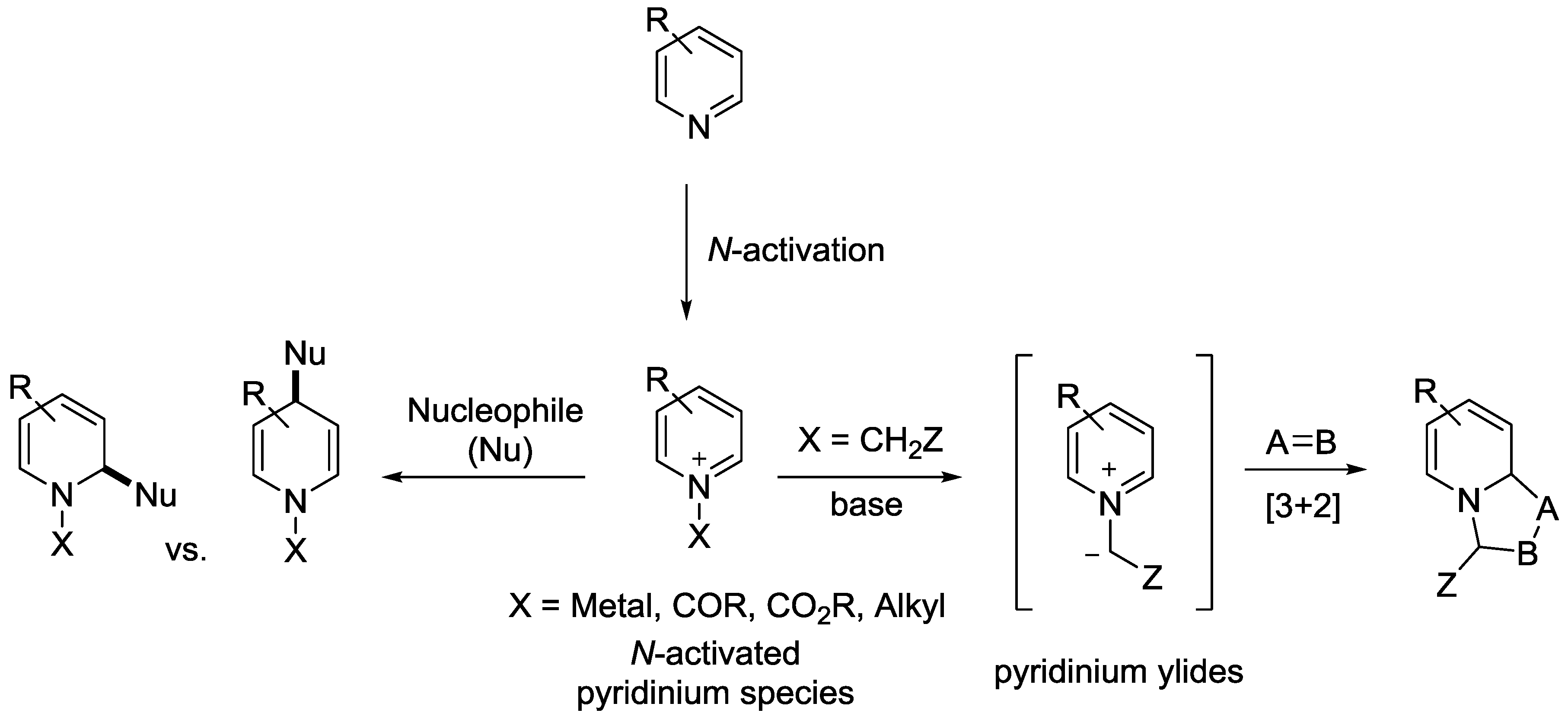 Catalysts 08 00632 sch001