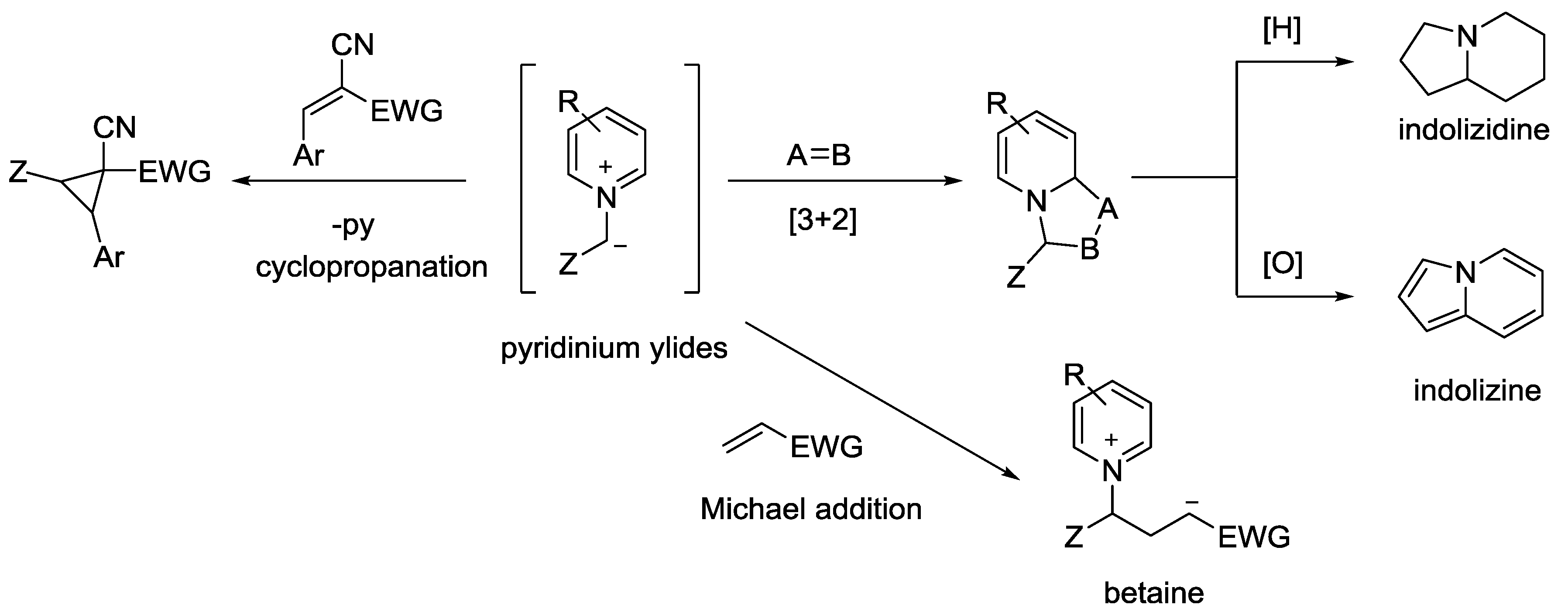 Catalysts 08 00632 sch024