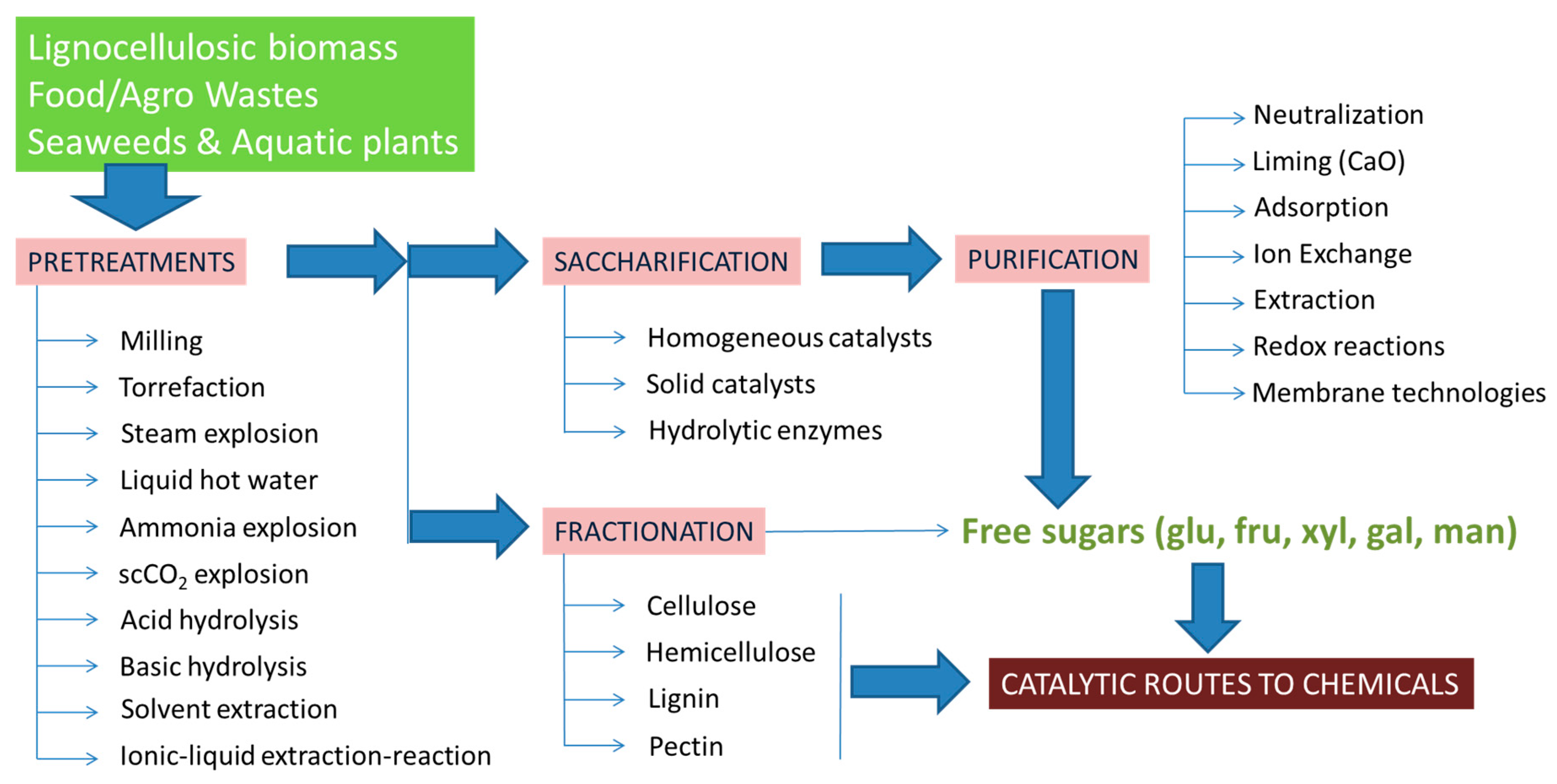 Catalysts Free Full Text Catalytic Processes From Biomass