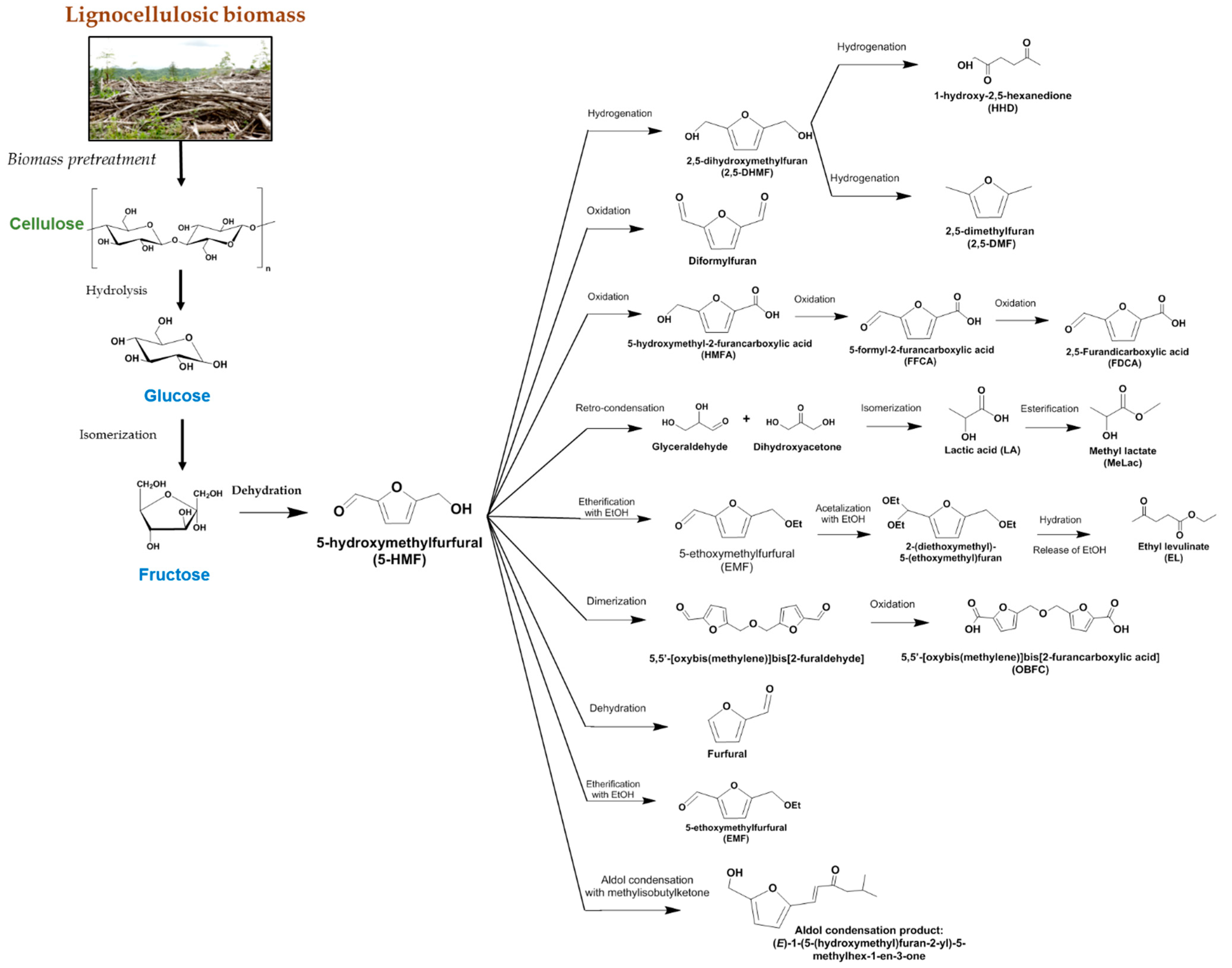 Catalysts 08 00637 g002