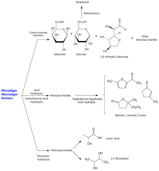 Catalytic Processes from Biomass-Derived Hexoses and