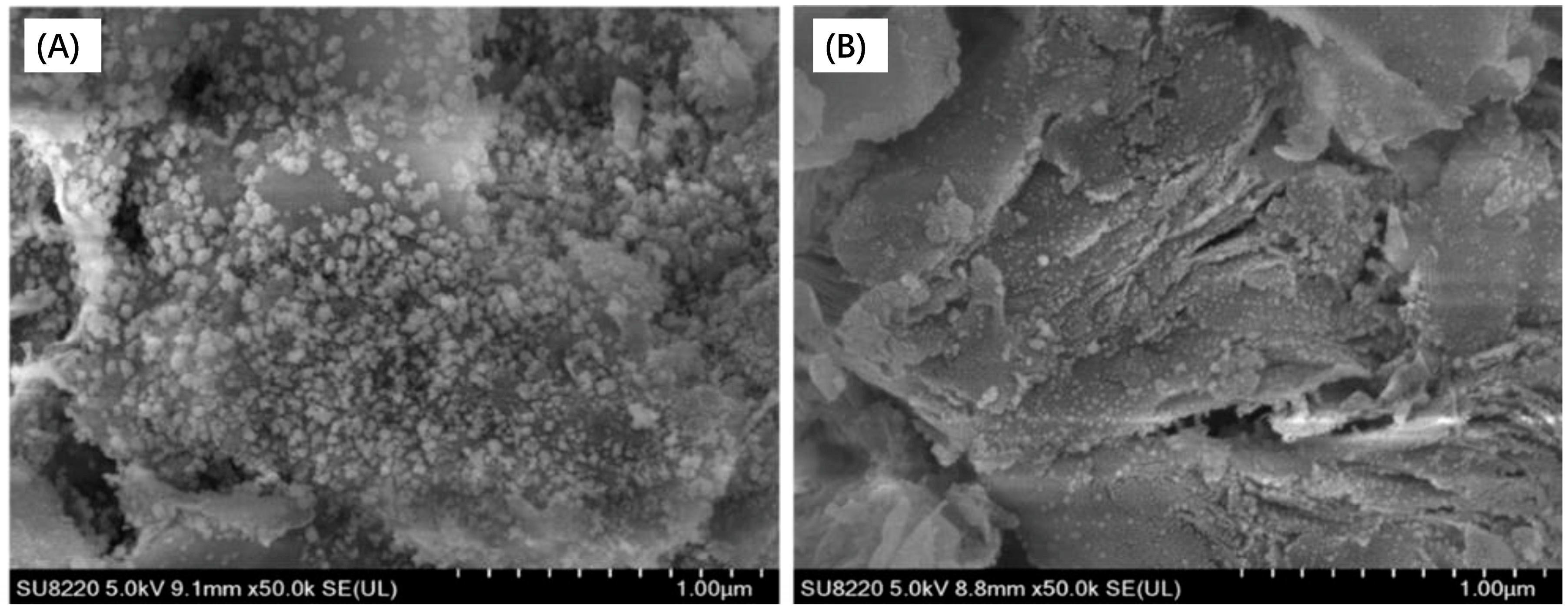 Catalysts 08 00646 g011 Catalysts 08 00646 g011