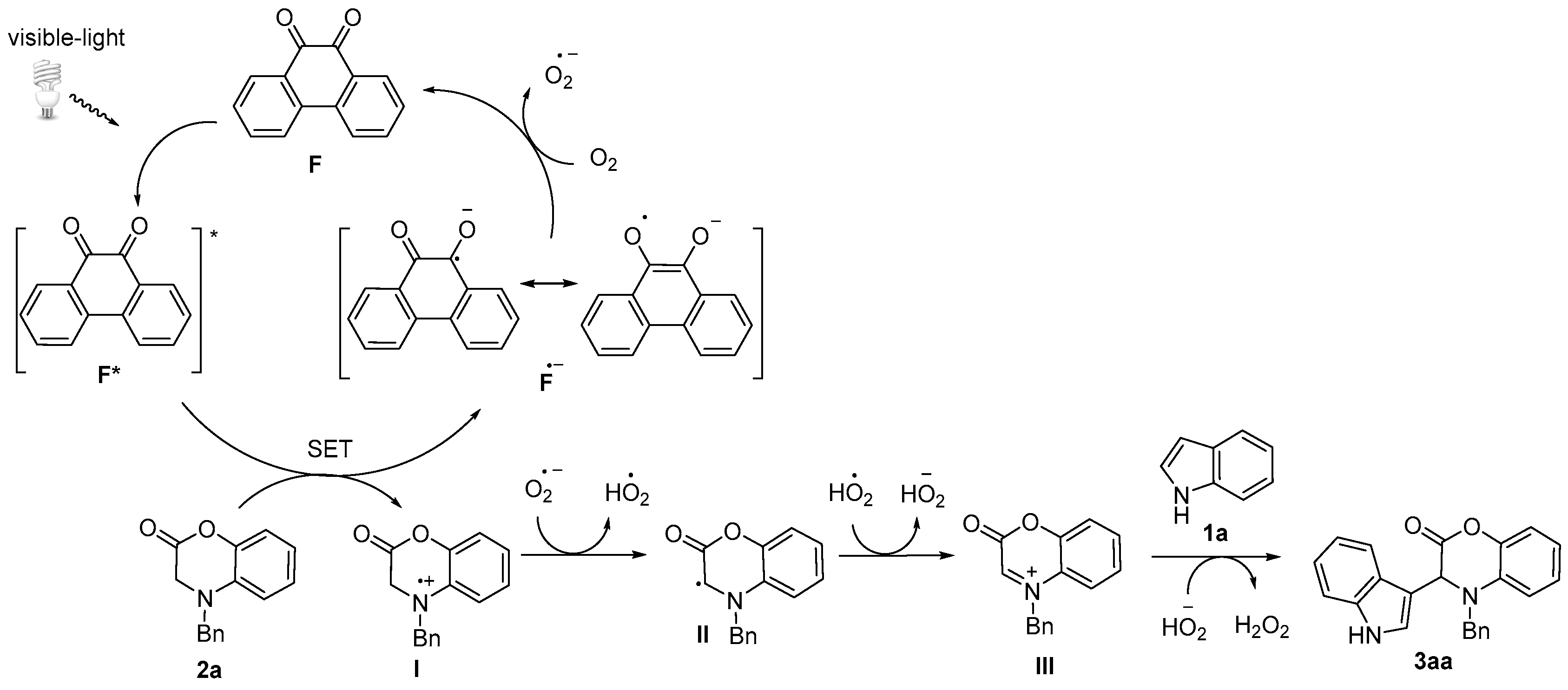 Catalysts 08 00653 sch005