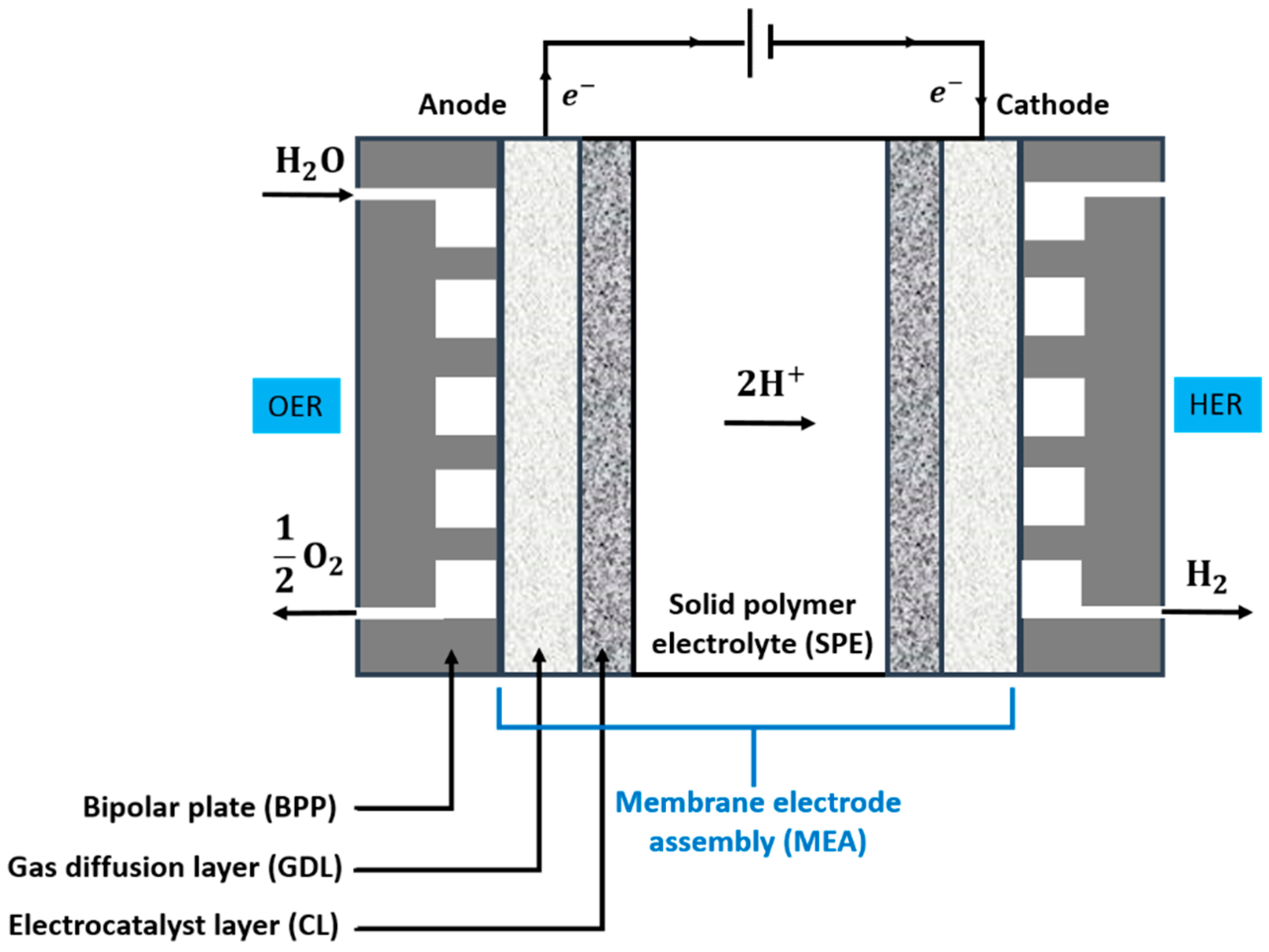 Catalysts 08 00657 g003