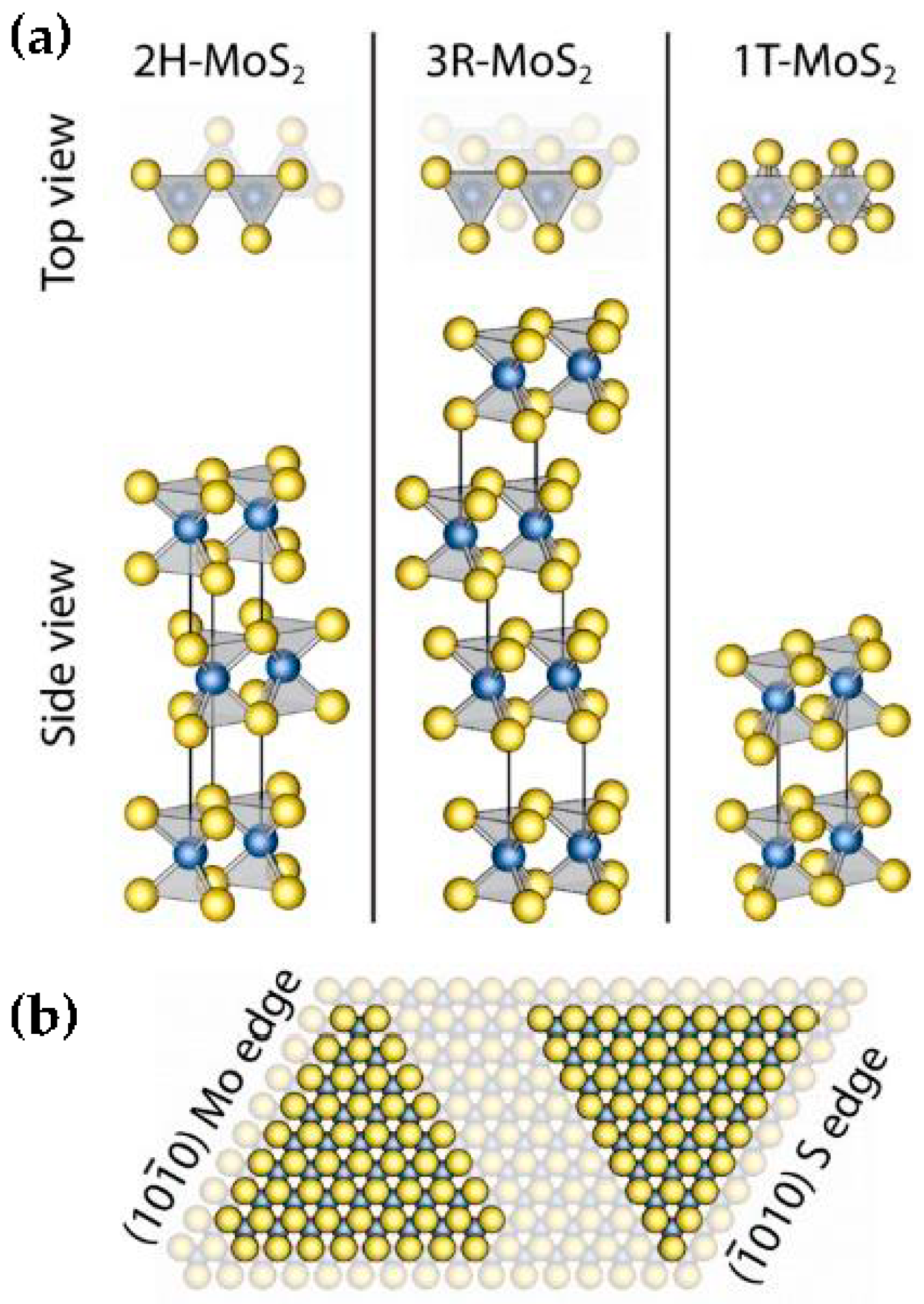 Catalysts 08 00657 g004