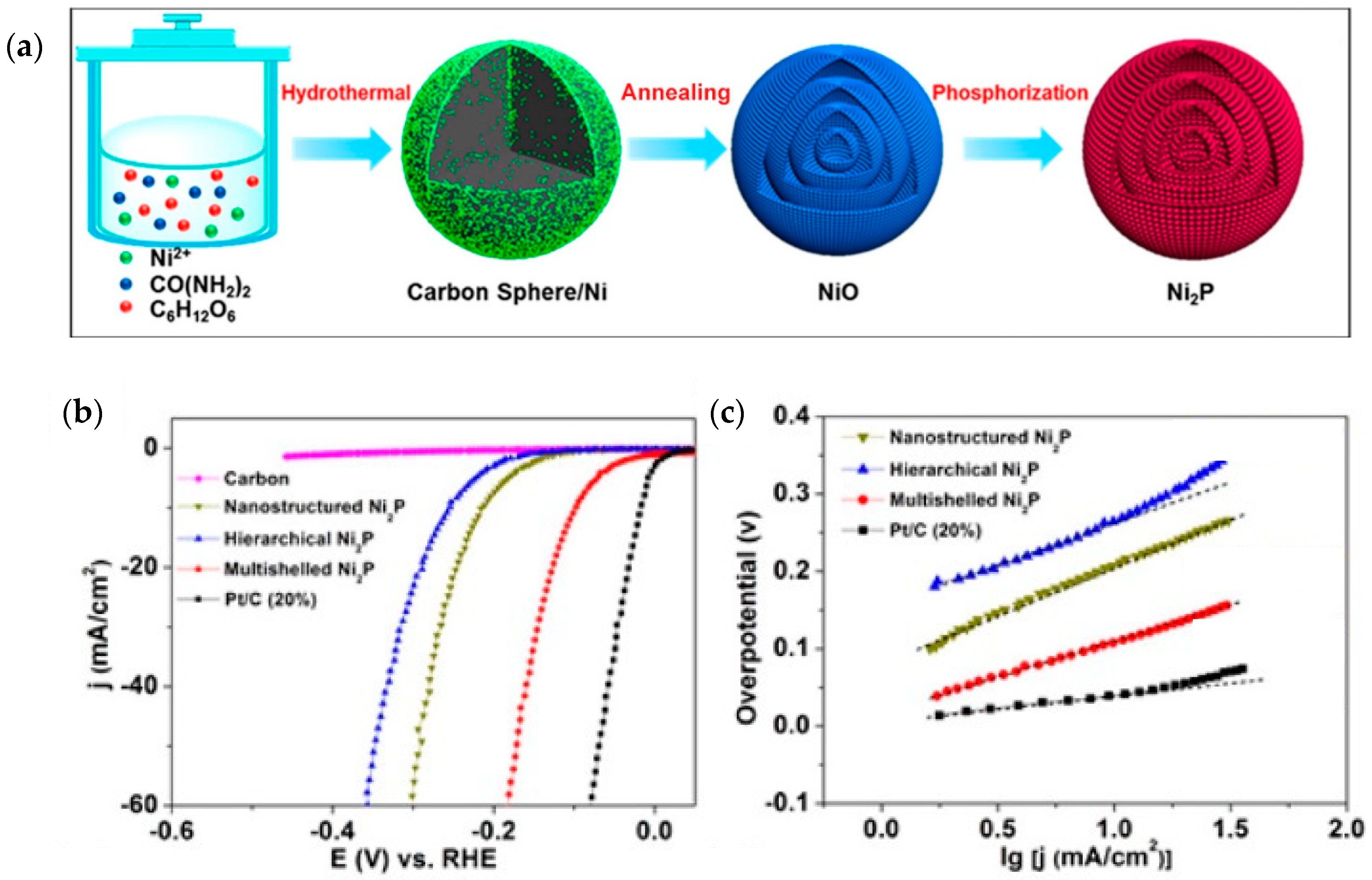 Catalysts 08 00657 g006