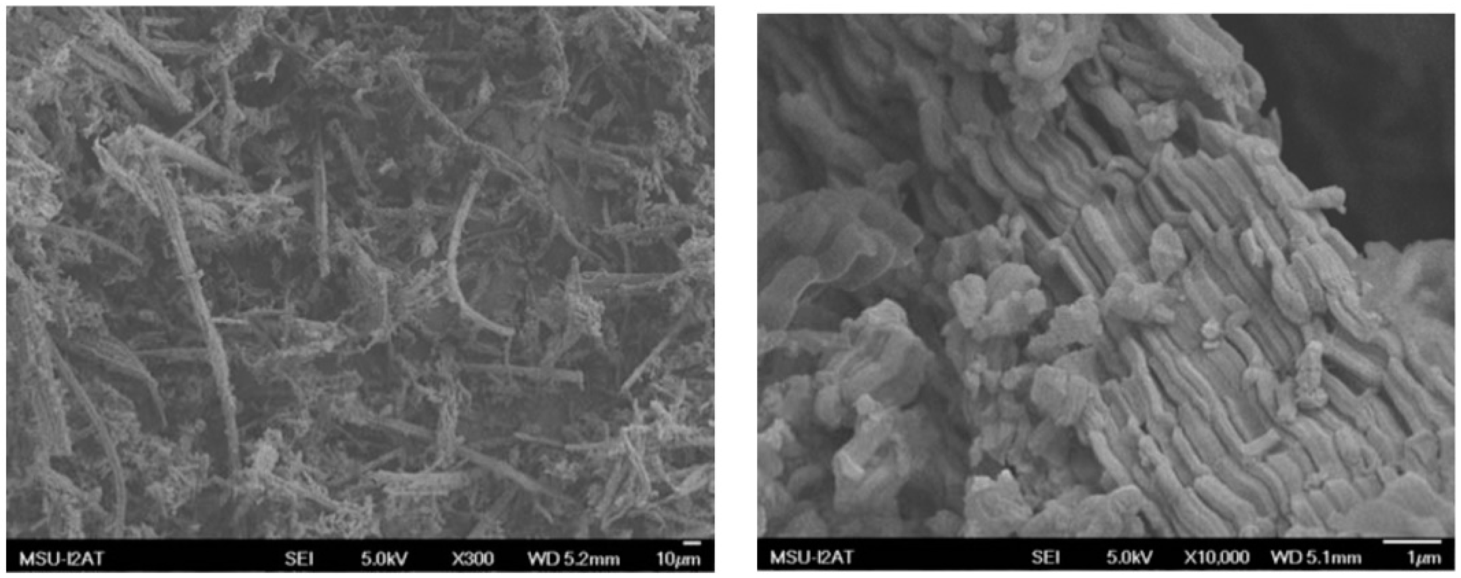 Catalysts 08 00661 g001 Catalysts 08 00661 g001