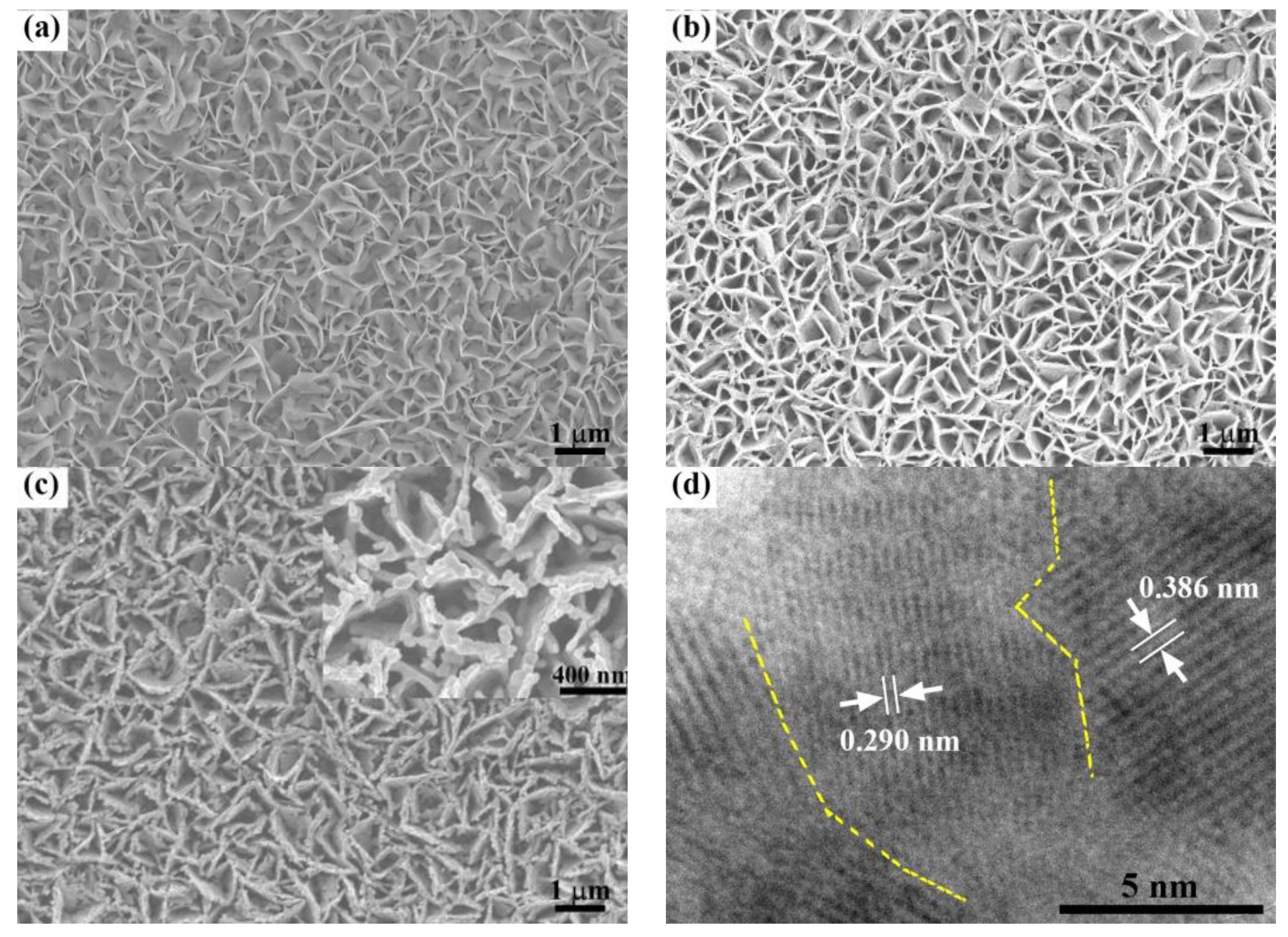 Catalysts 08 00663 g001