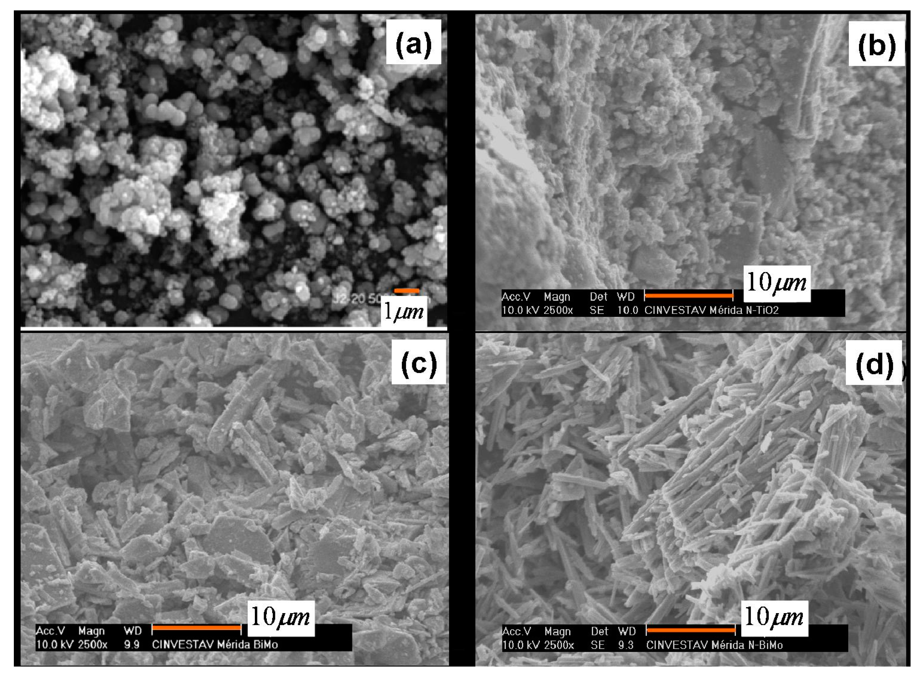 Catalysts 08 00668 g001