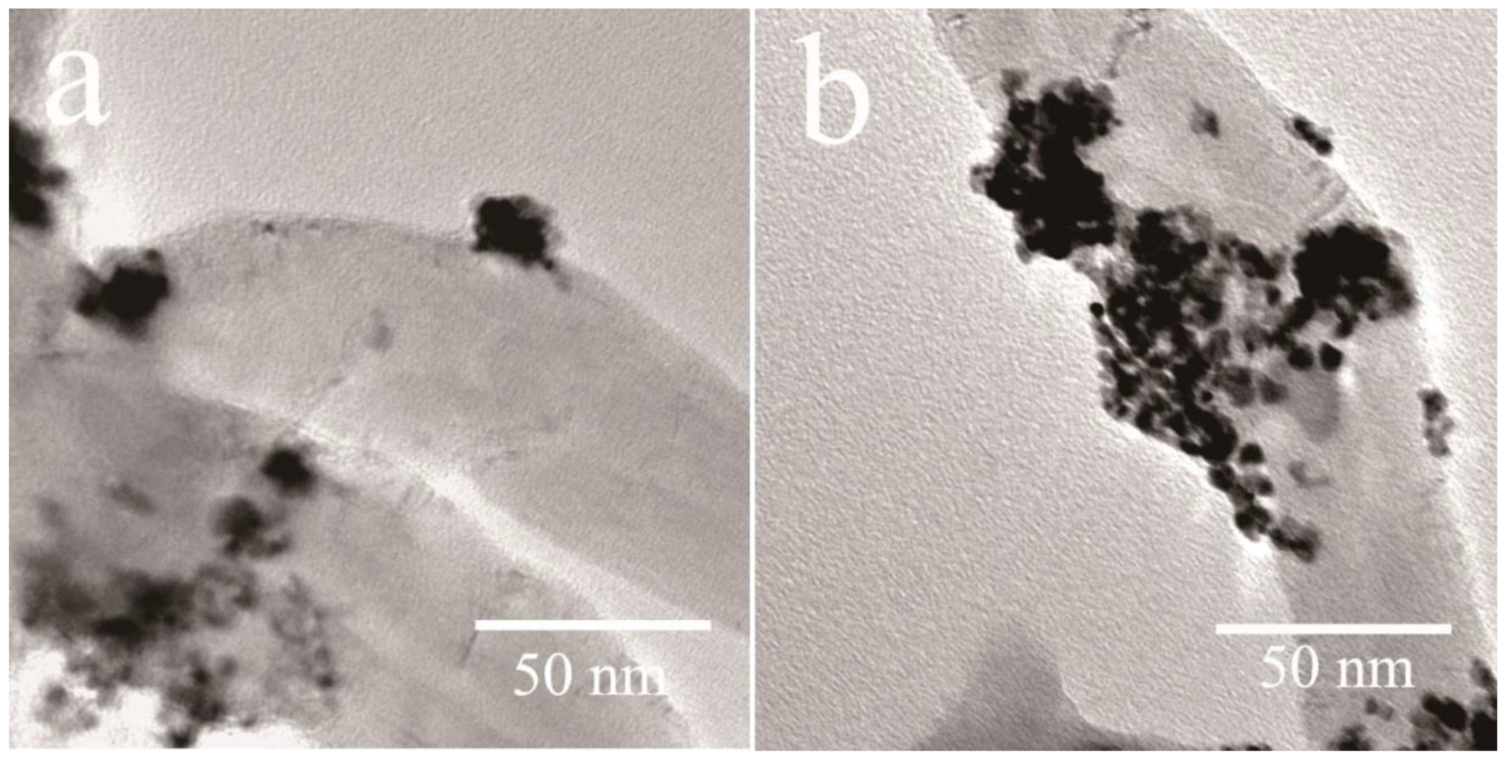 Catalysts 08 00669 g002