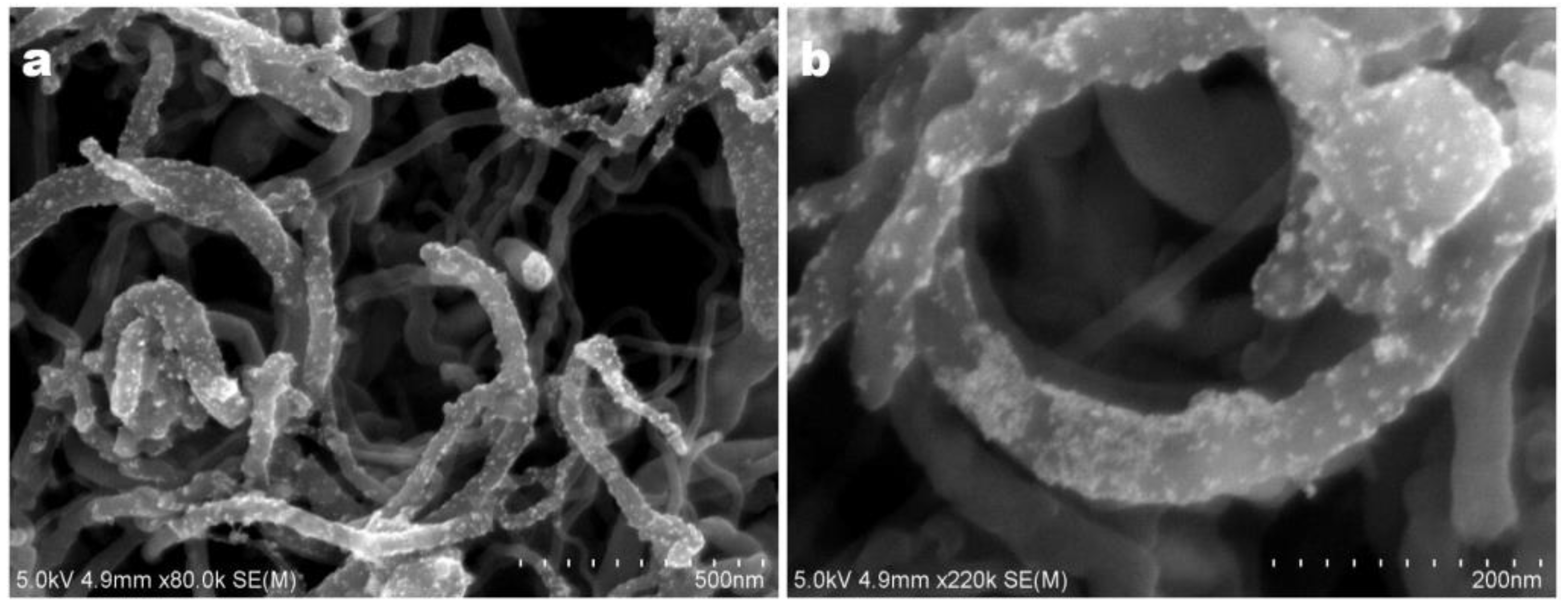 Catalysts 08 00669 g003