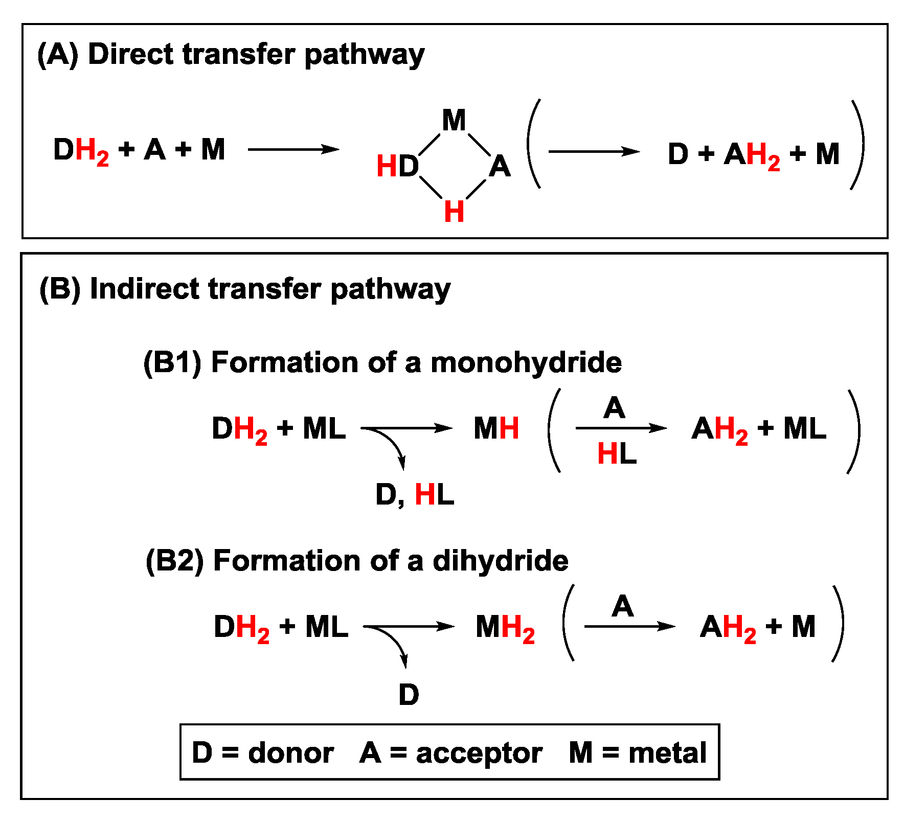 Hydrogen Transfer Reactions