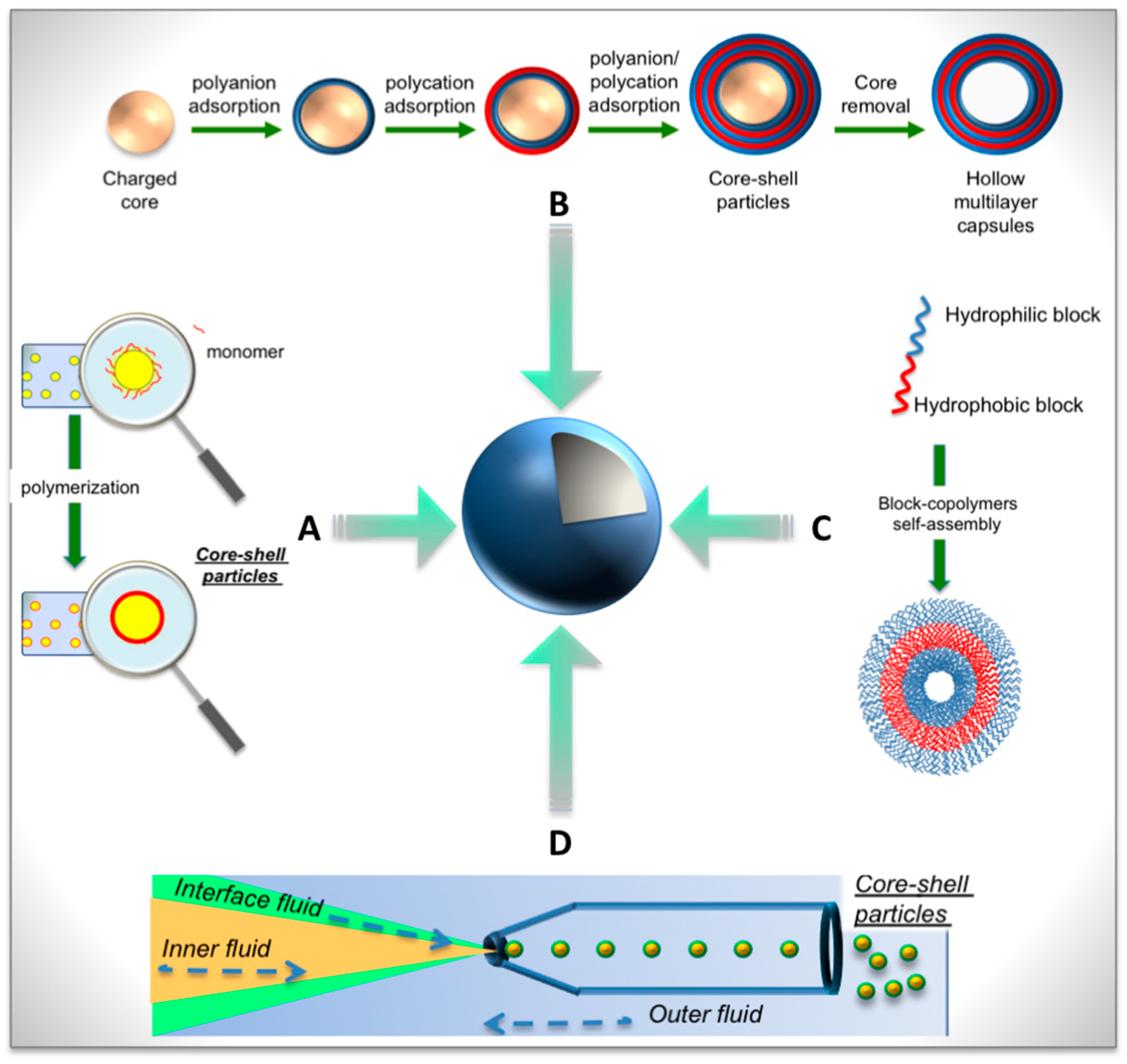 Catalysts Free FullText Polymer Capsules for Enzymatic Catalysis