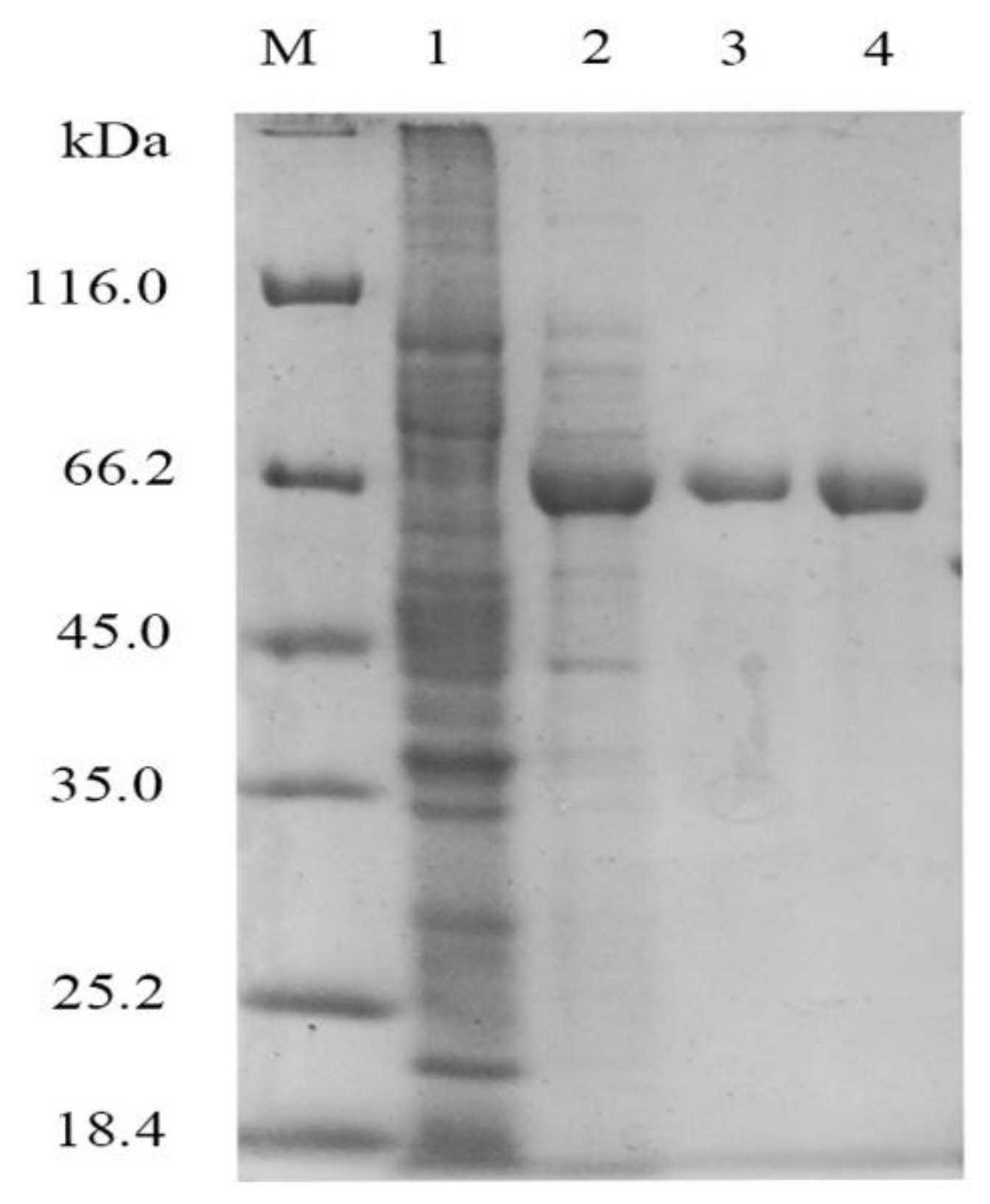 Catalysts 09 00005 g001 550